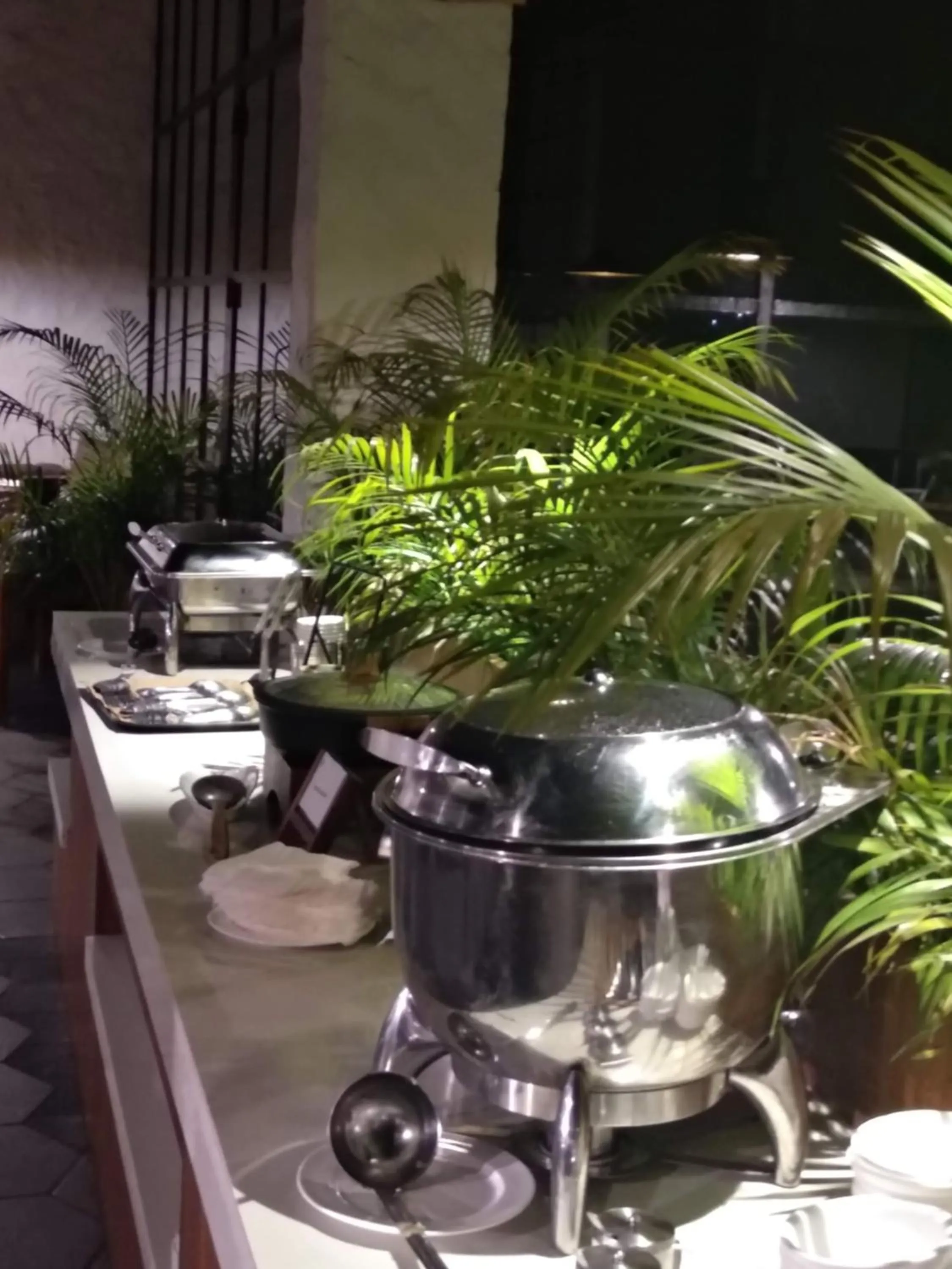 Restaurant/places to eat in Manu Maharani Resort