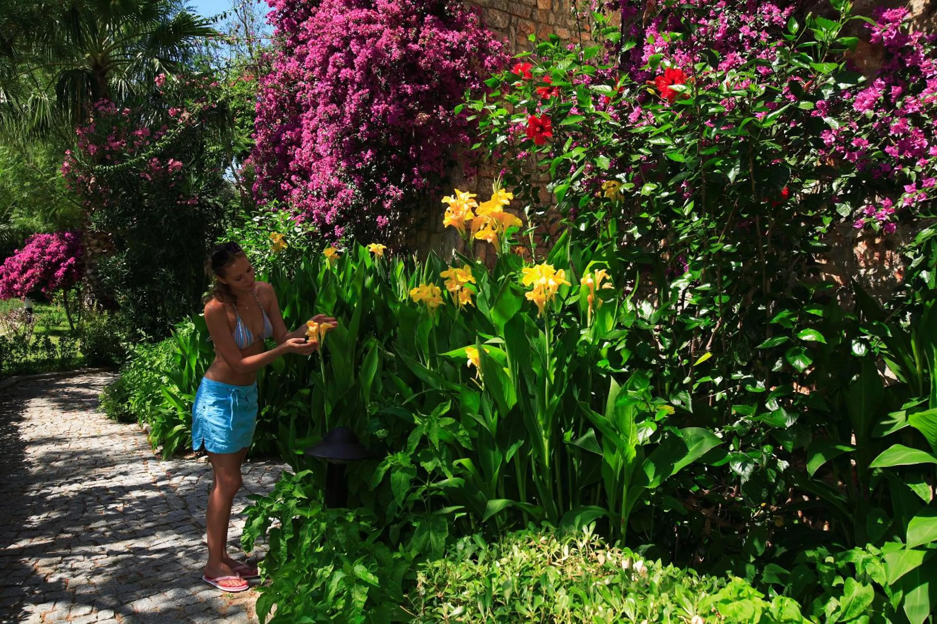 Garden in Zeytinada Hotel