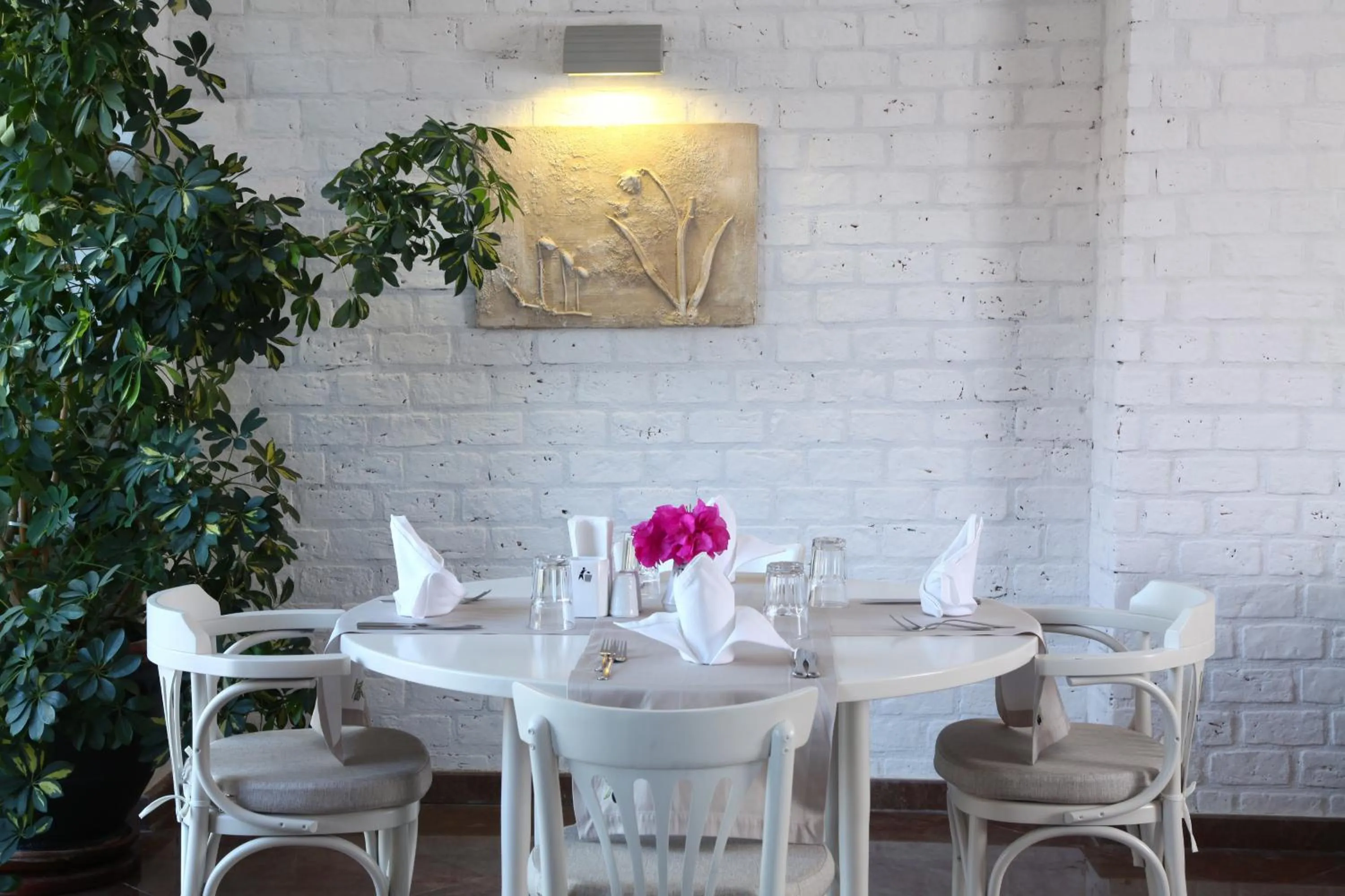 Food in Zeytinada Hotel