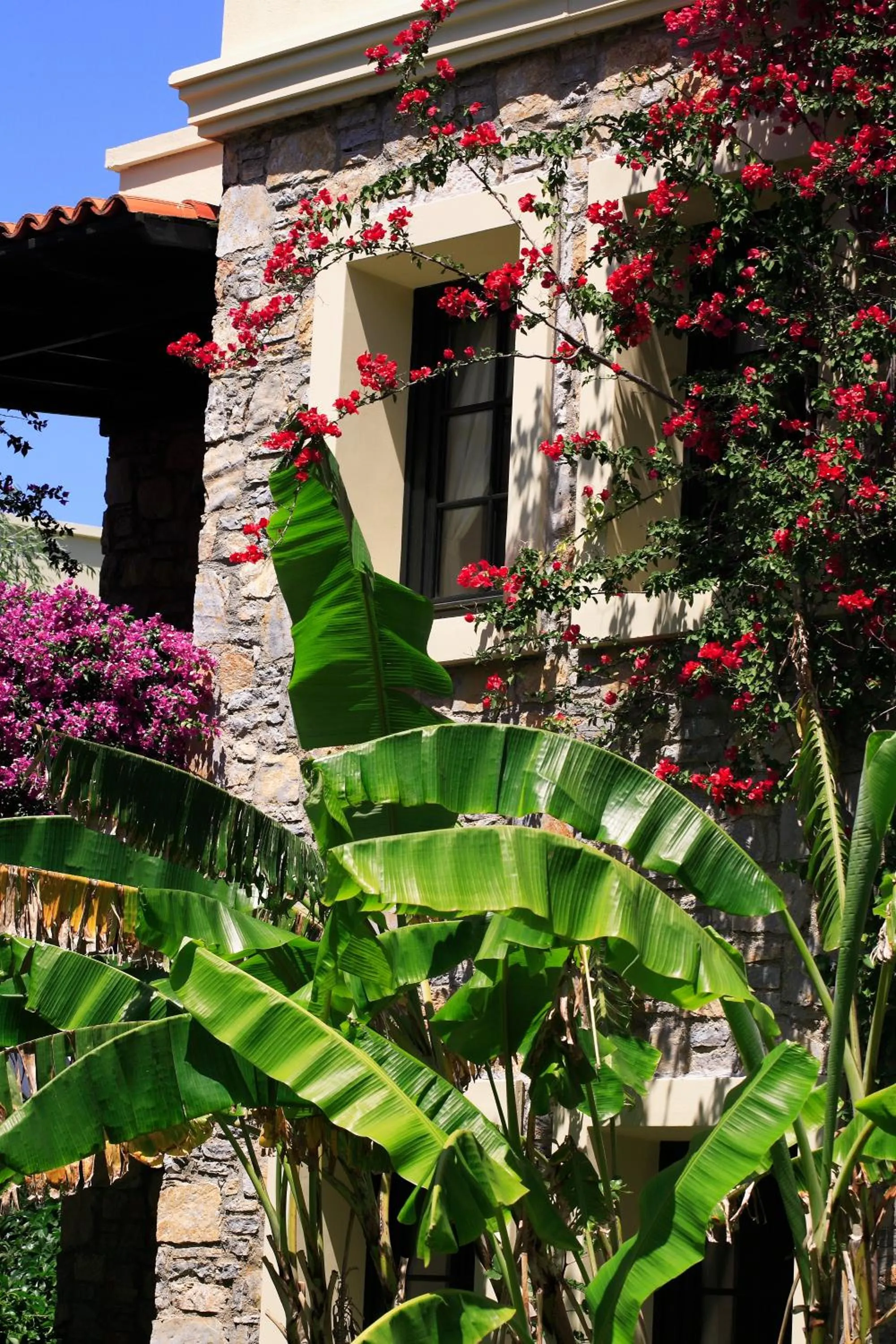 Property building in Zeytinada Hotel