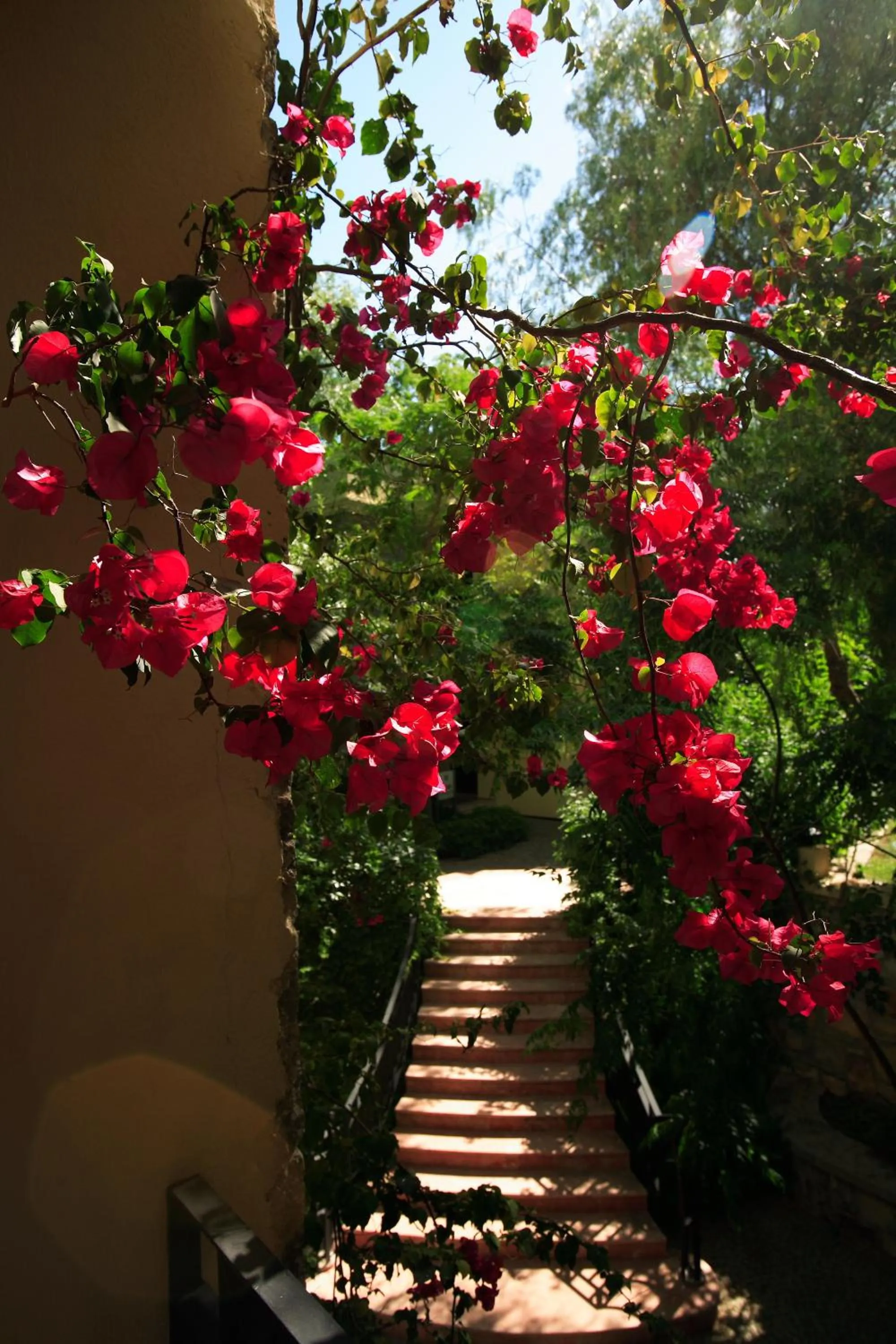 Other in Zeytinada Hotel