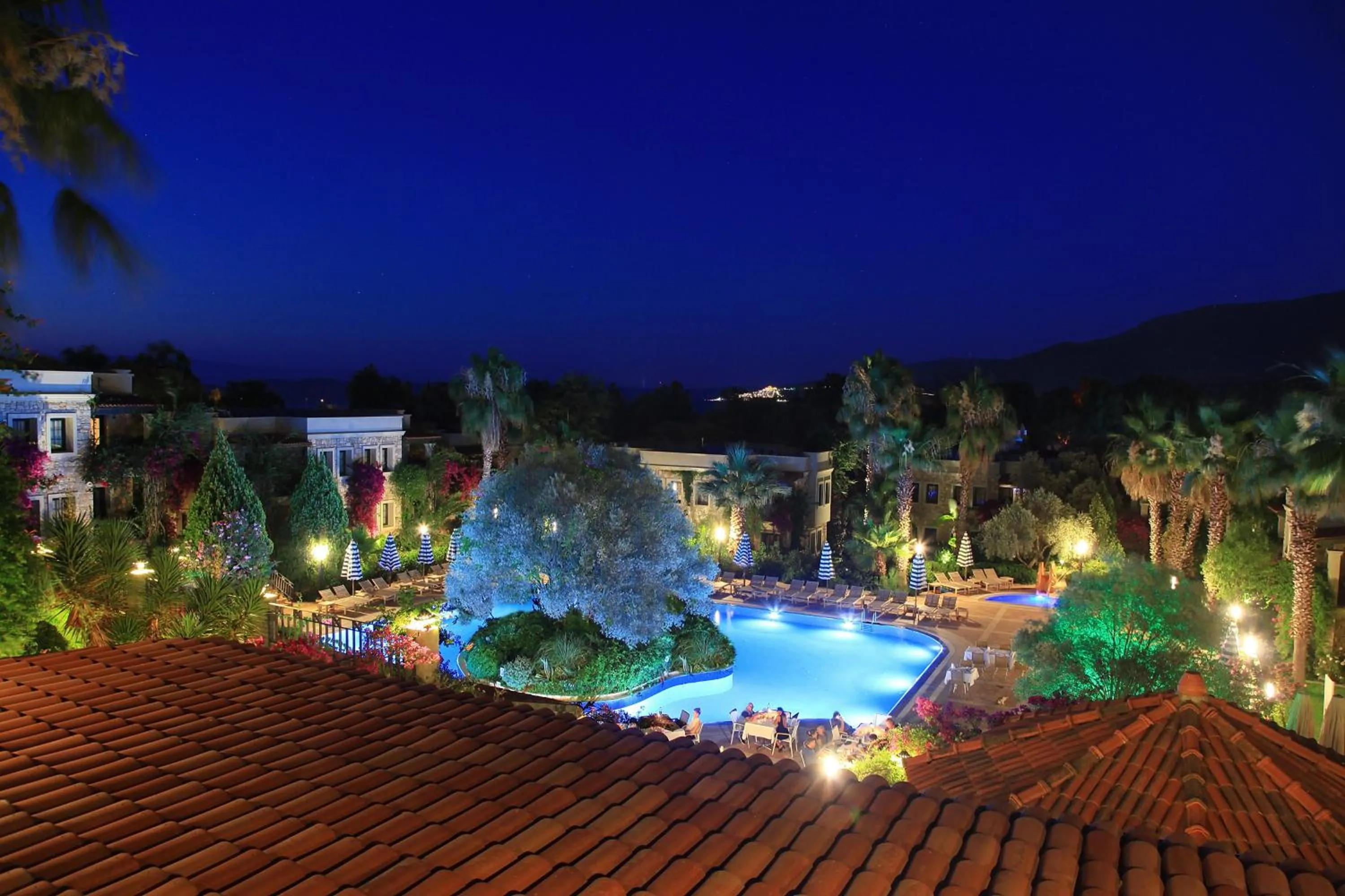 Night in Zeytinada Hotel