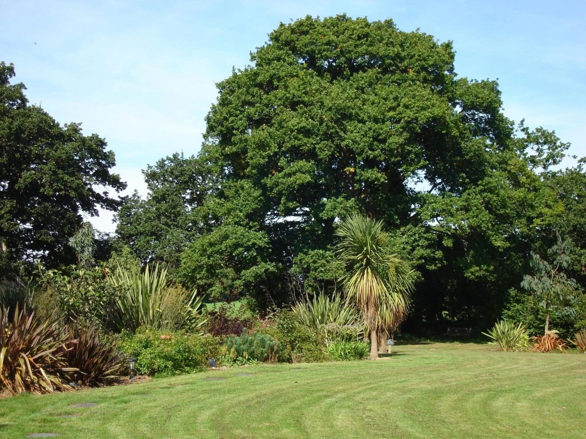 Garden in Manoir De Savigny