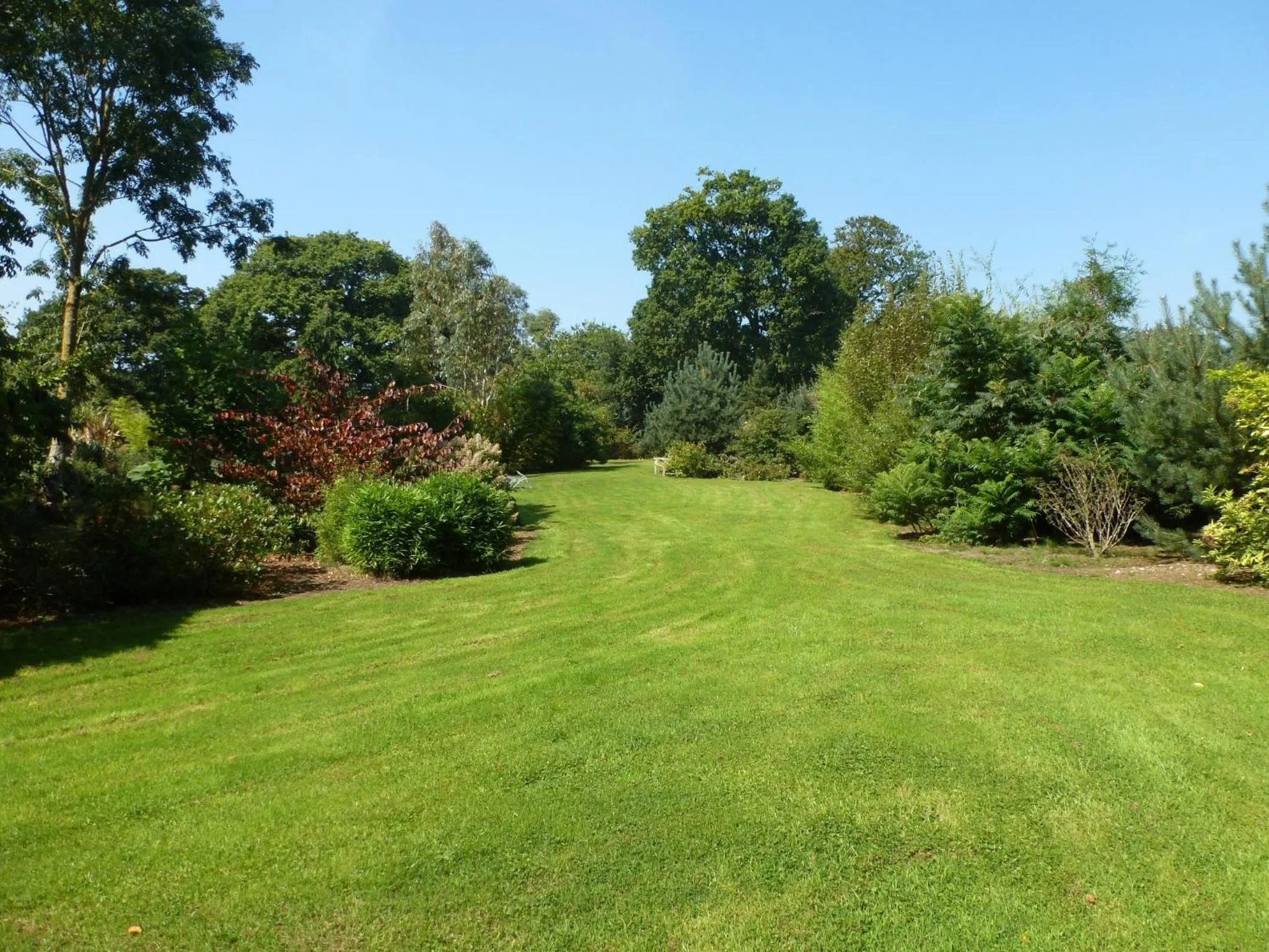 Garden in Manoir De Savigny