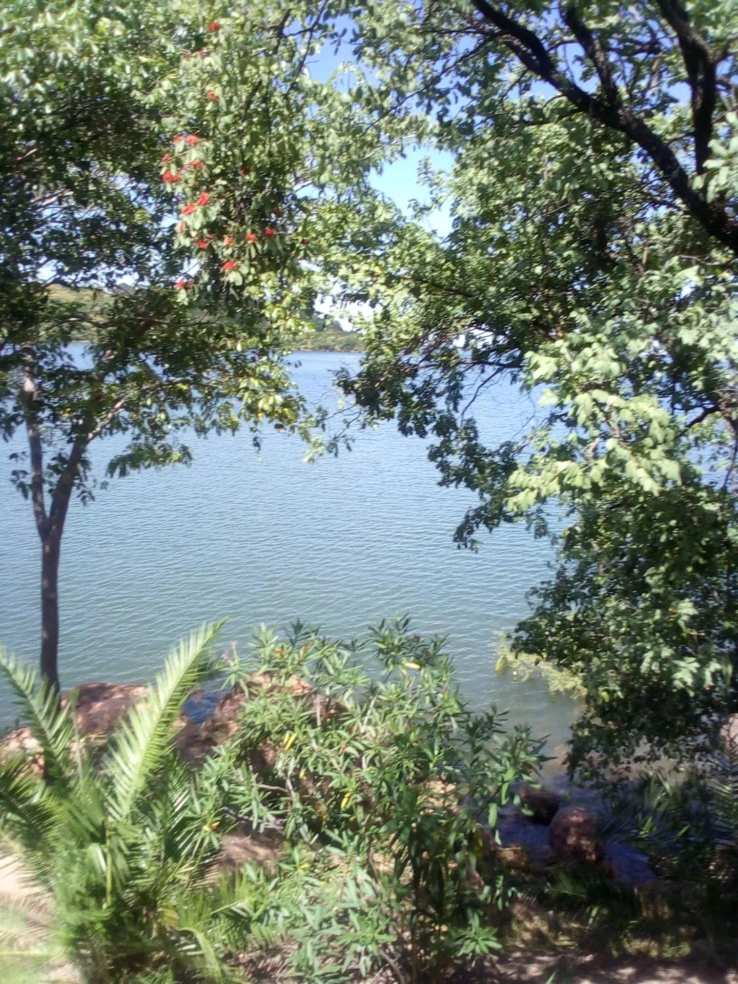 Beach in Nahubwe Safari Lodge