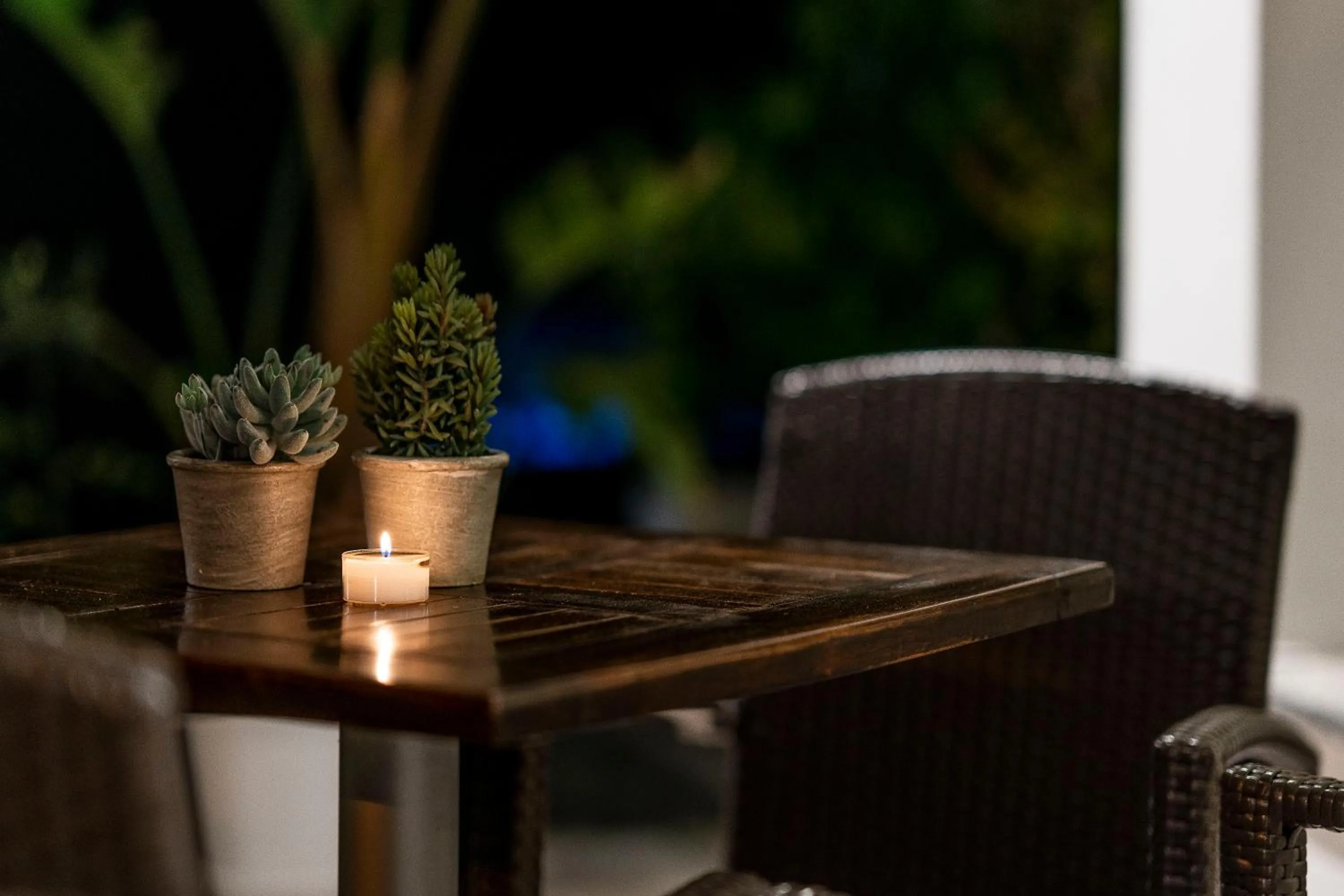 Garden in Hotel Pacific