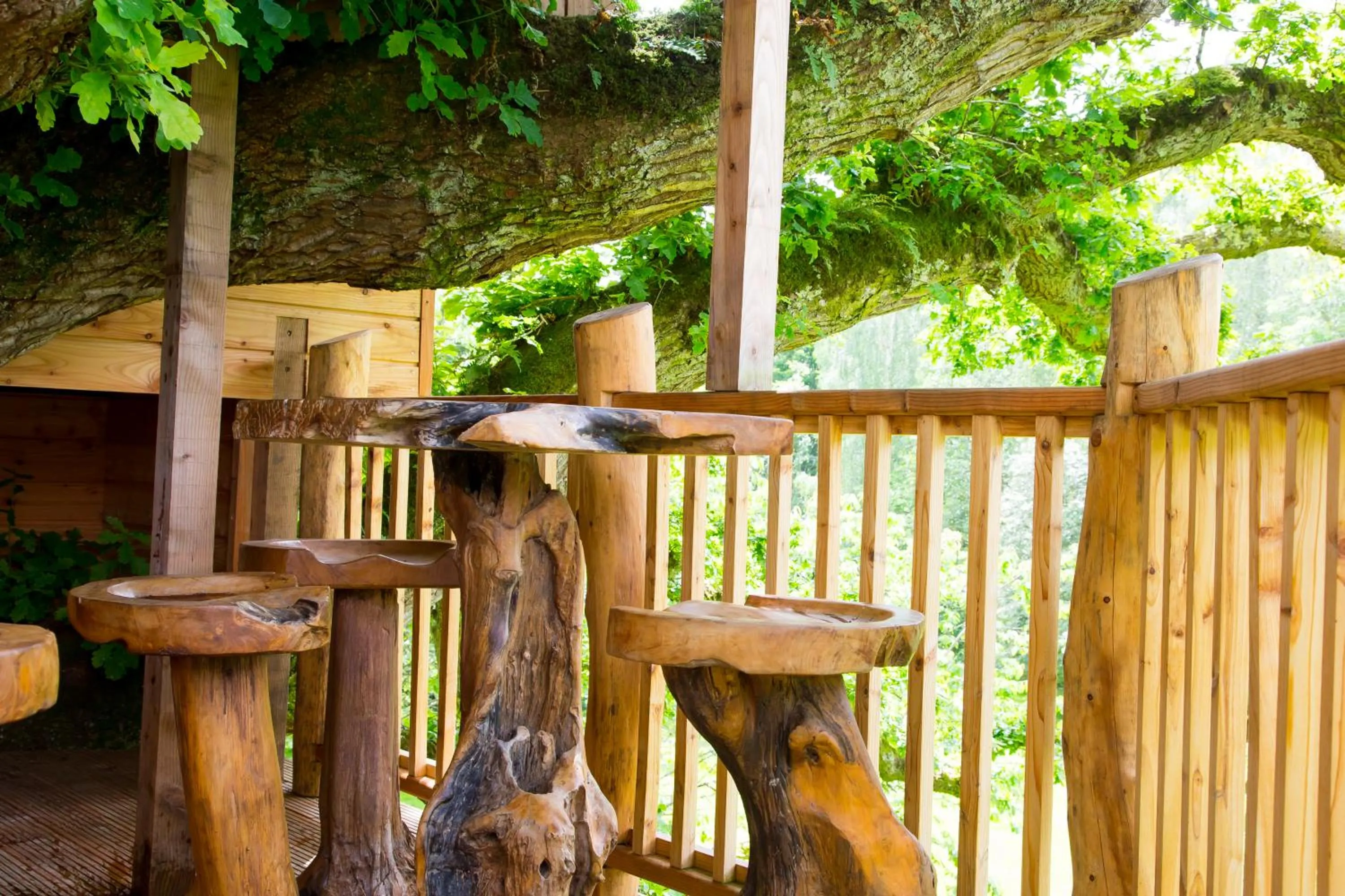 Fox & Hounds Country Hotel