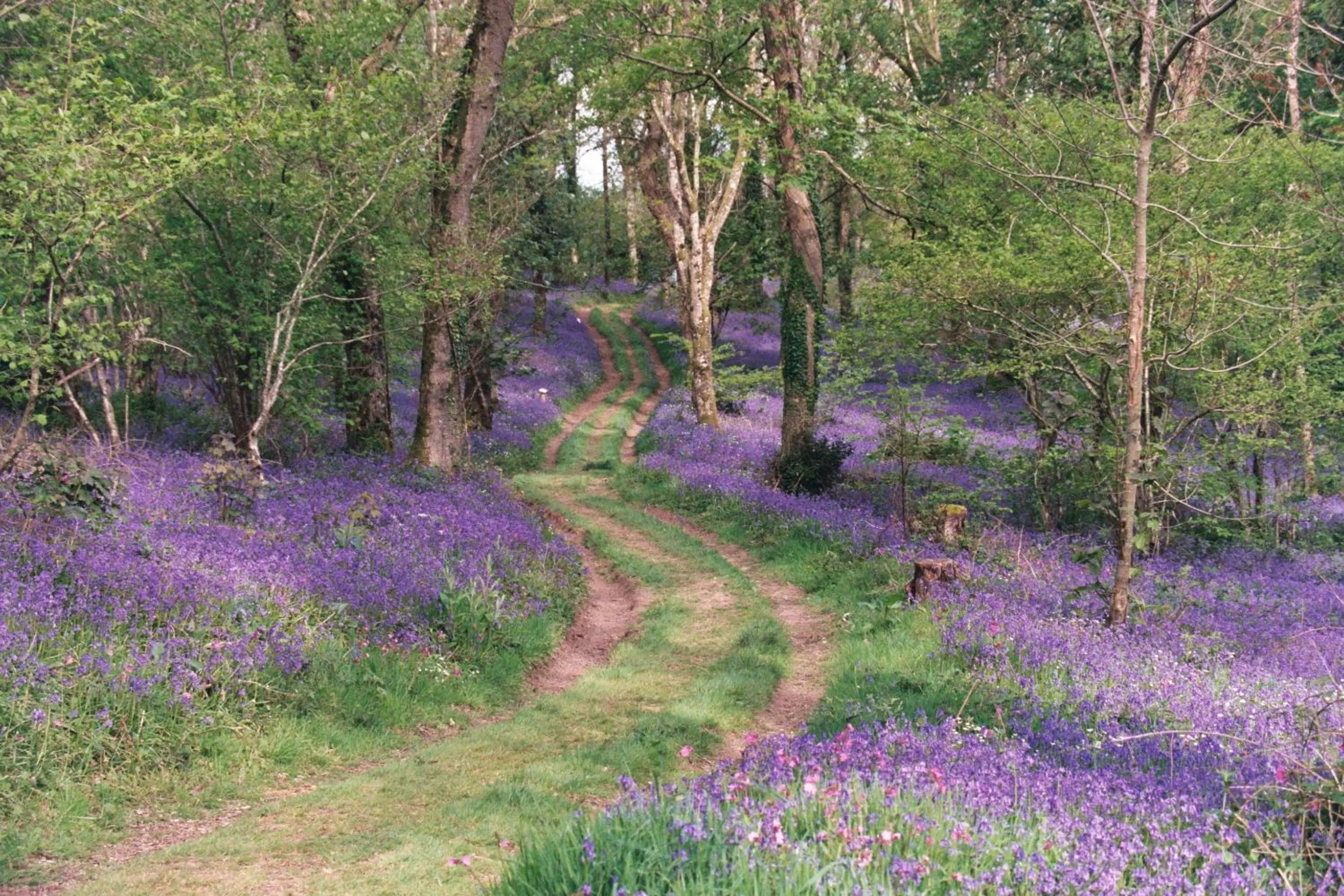 Area and facilities in Fox & Hounds Country Hotel