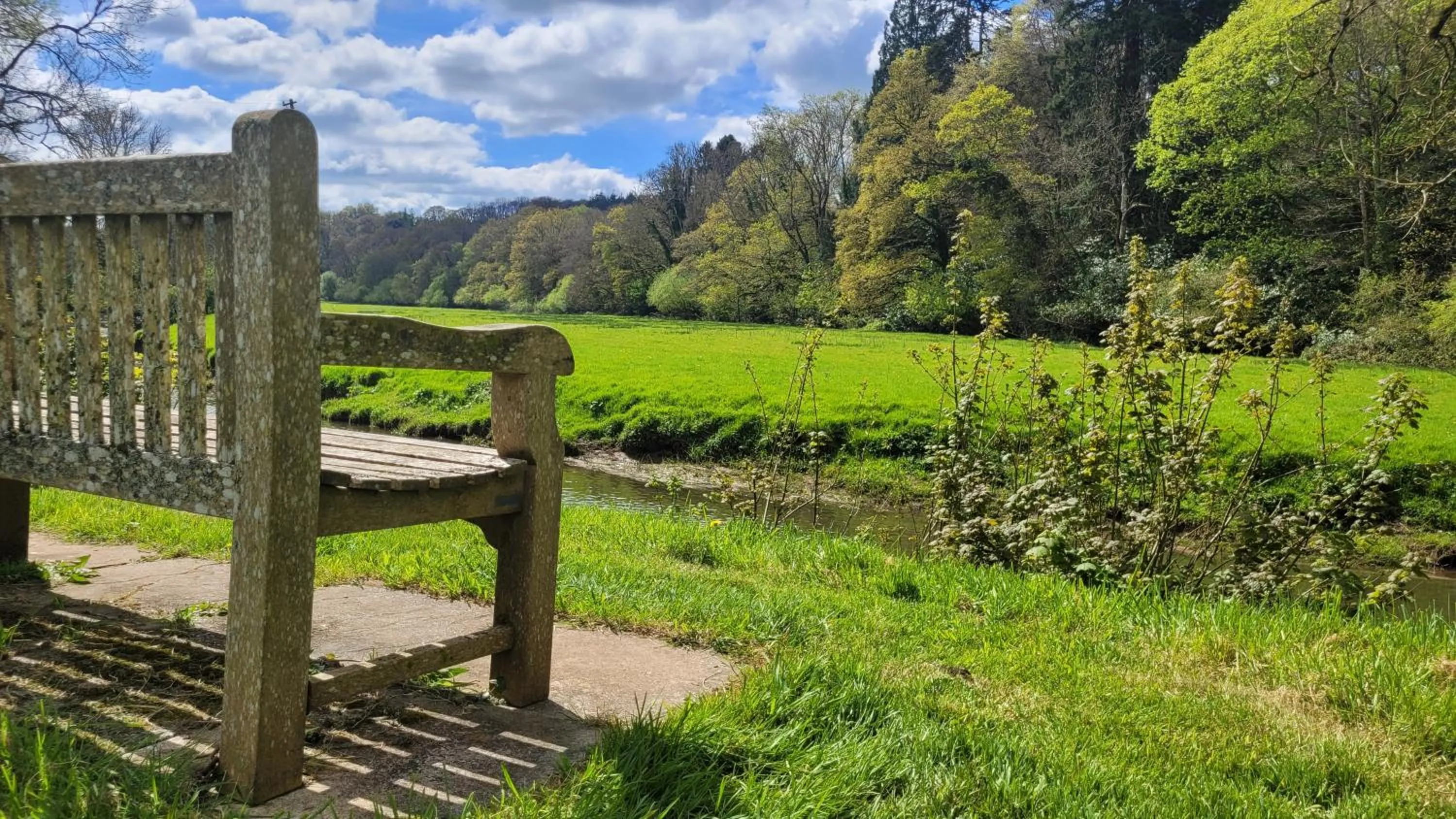 Garden in Fox & Hounds Country Hotel