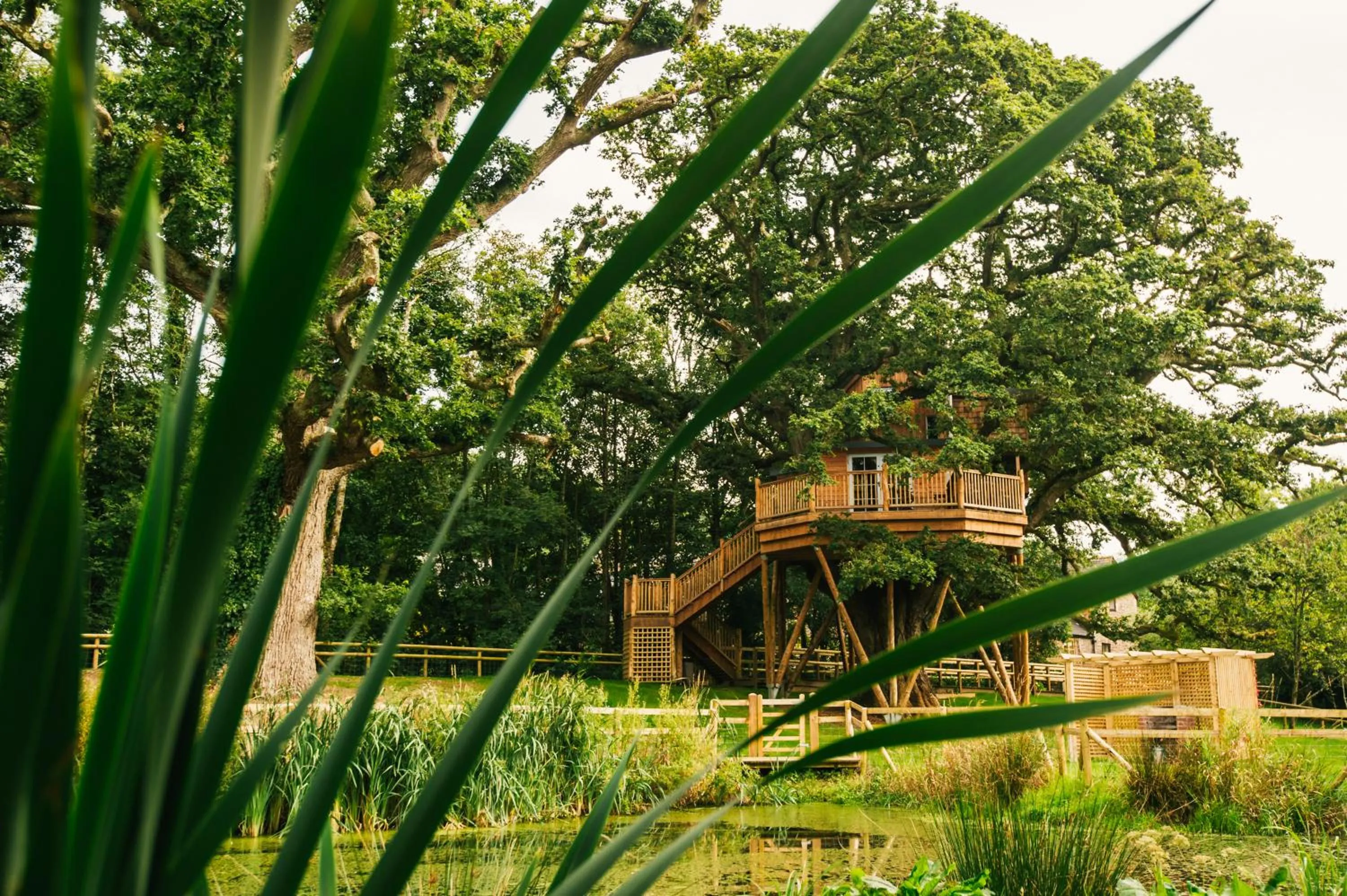 Fox & Hounds Country Hotel