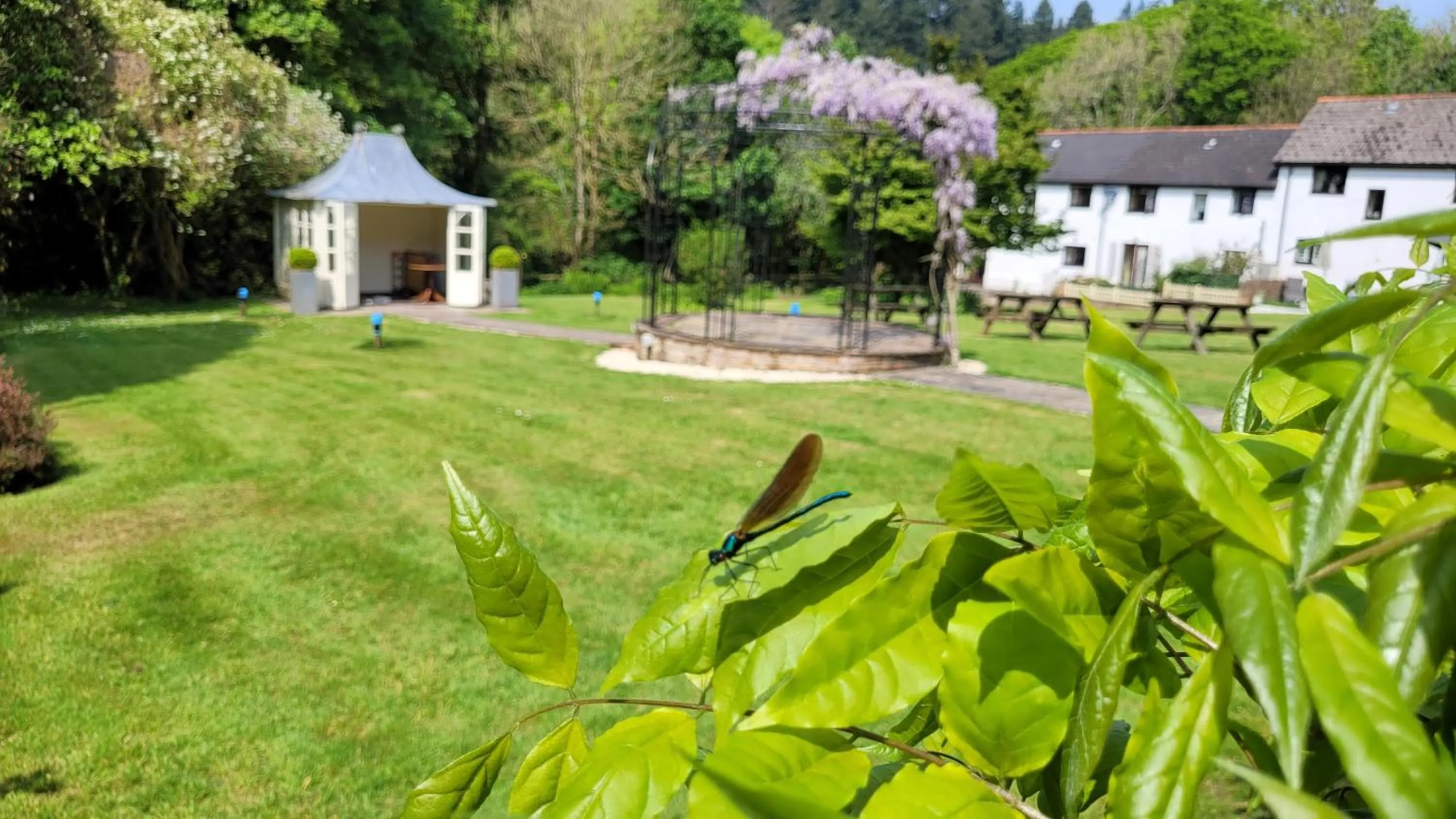 Fox & Hounds Country Hotel