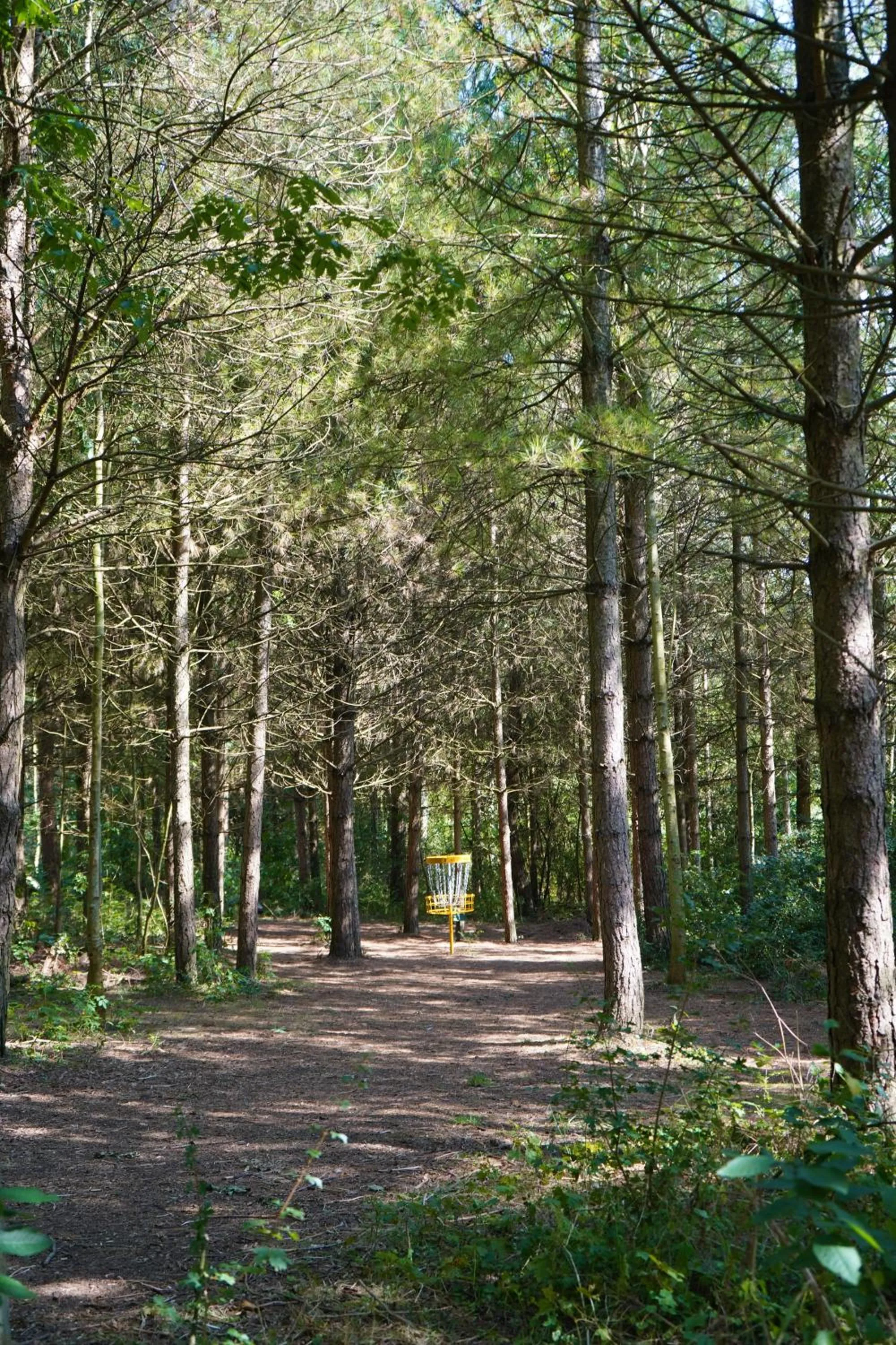 Natural landscape in Banbury Hill Farm Bed & Breakfast