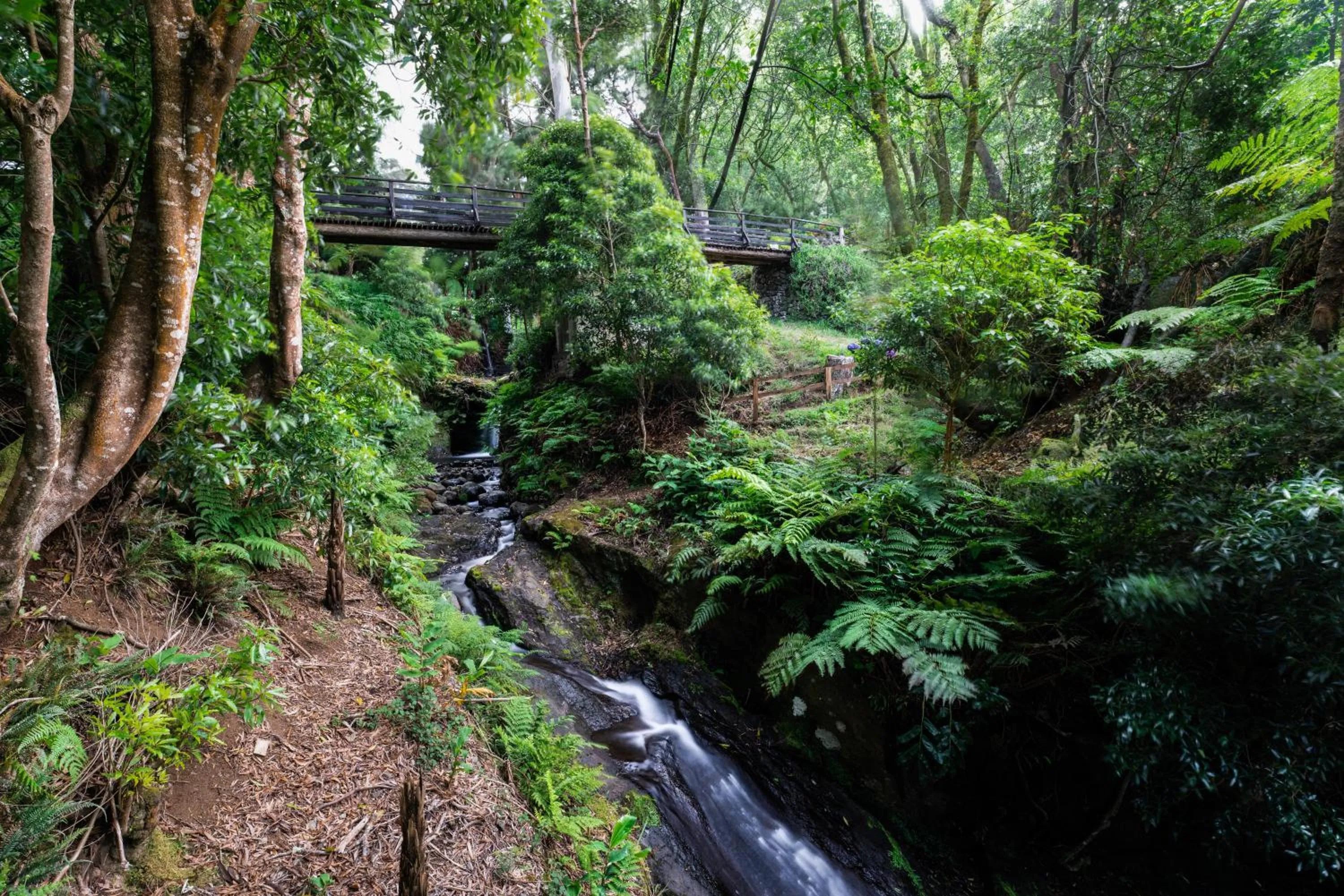 Natural landscape in Angra Marina Hotel