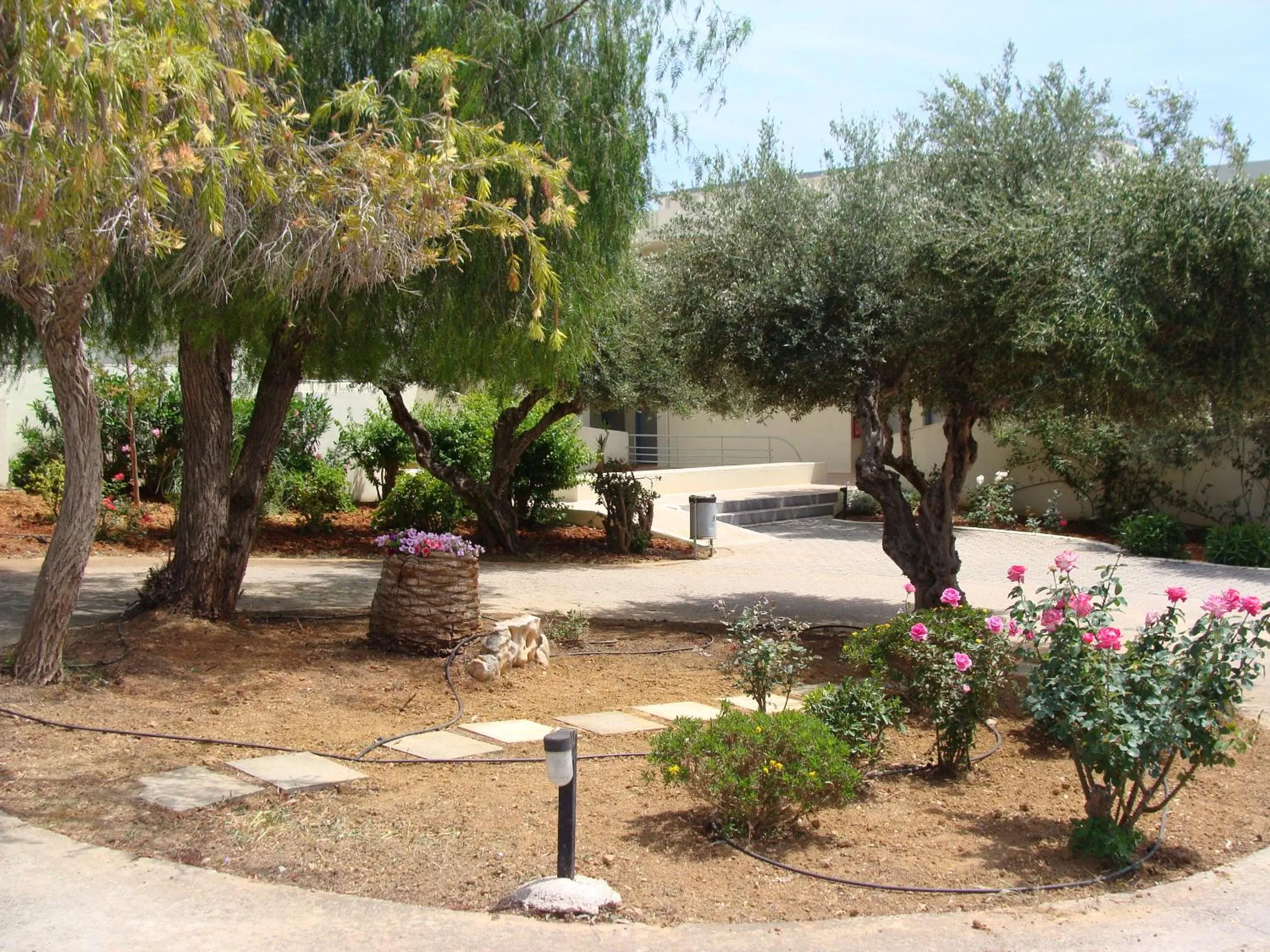 Patio in Rodon Hotel