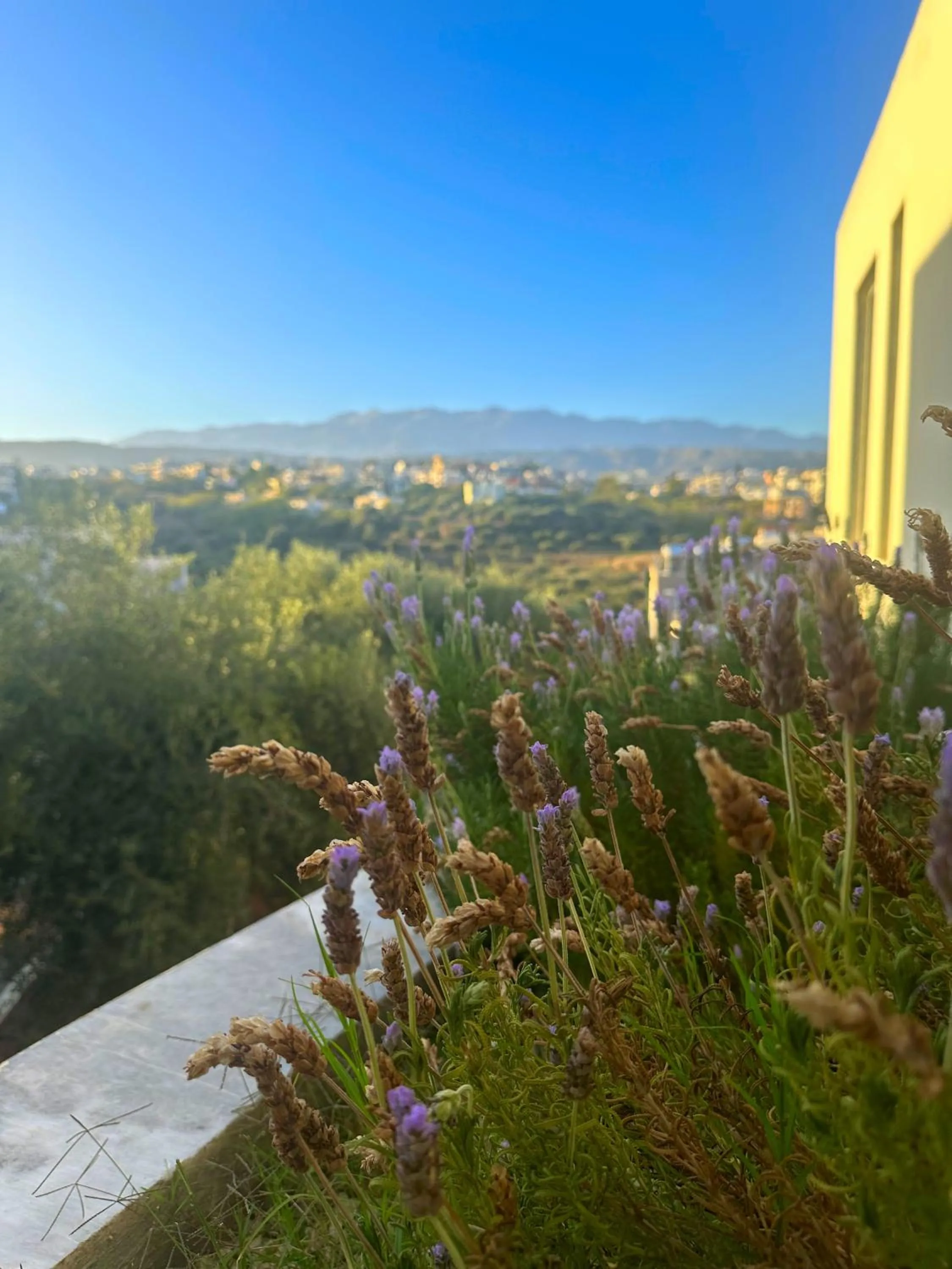 View (from property/room) in Rodon Hotel