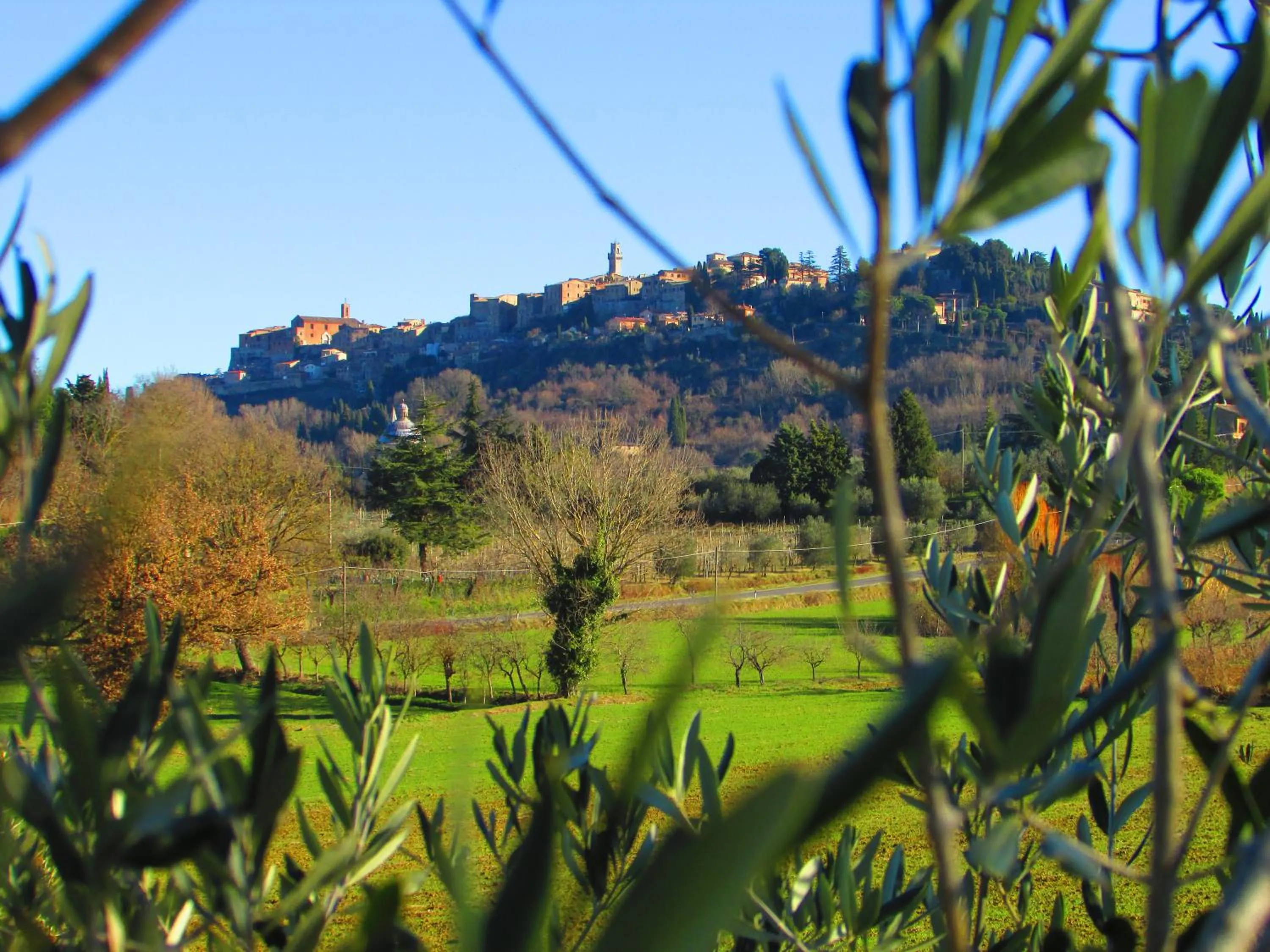 City view in B&B Il Girasole - Rooms & House in country - air conditioned - 1500 meters from historic center