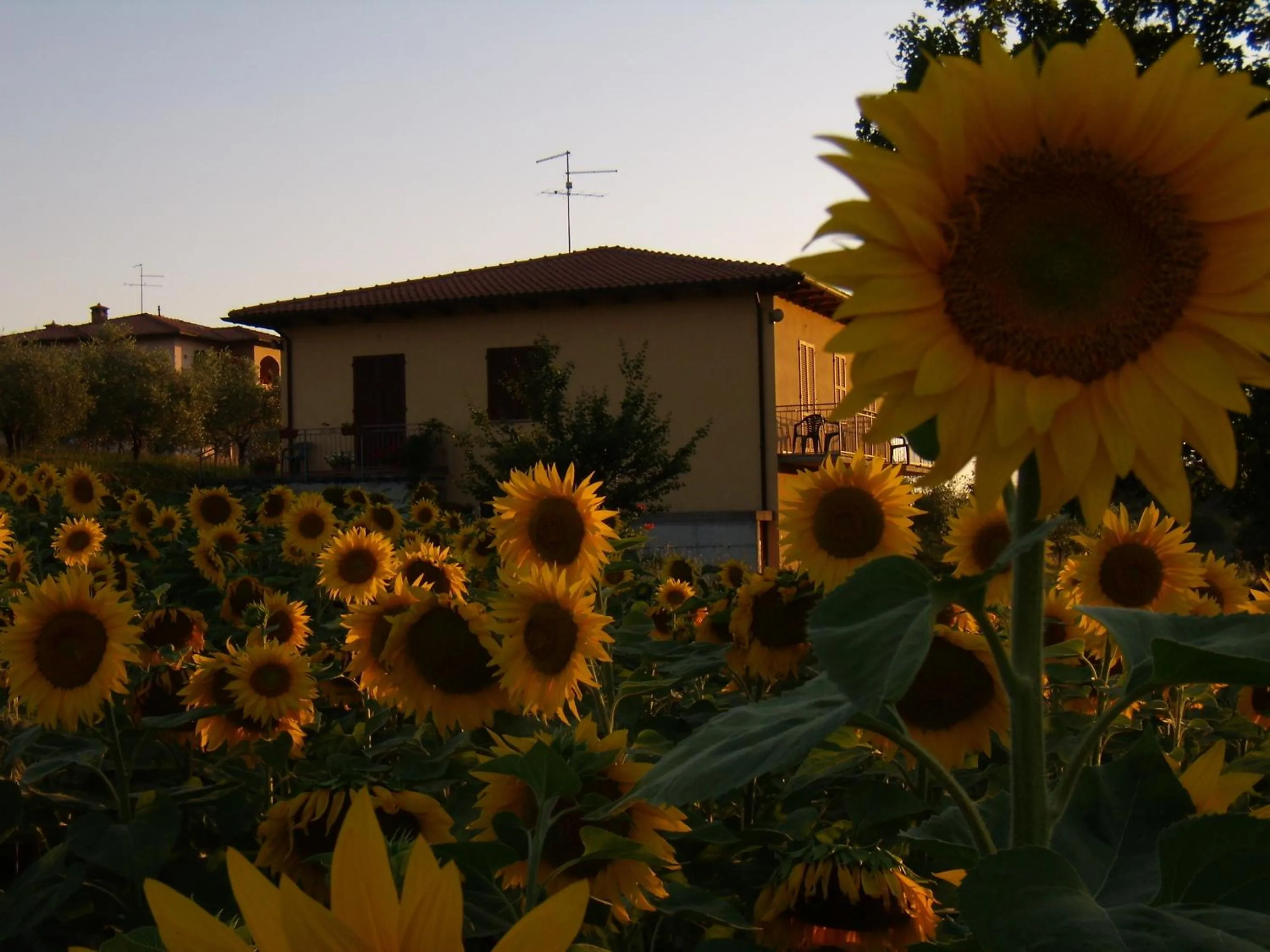 Facade/entrance in B&B Il Girasole - Rooms & House in country - air conditioned - 1500 meters from historic center