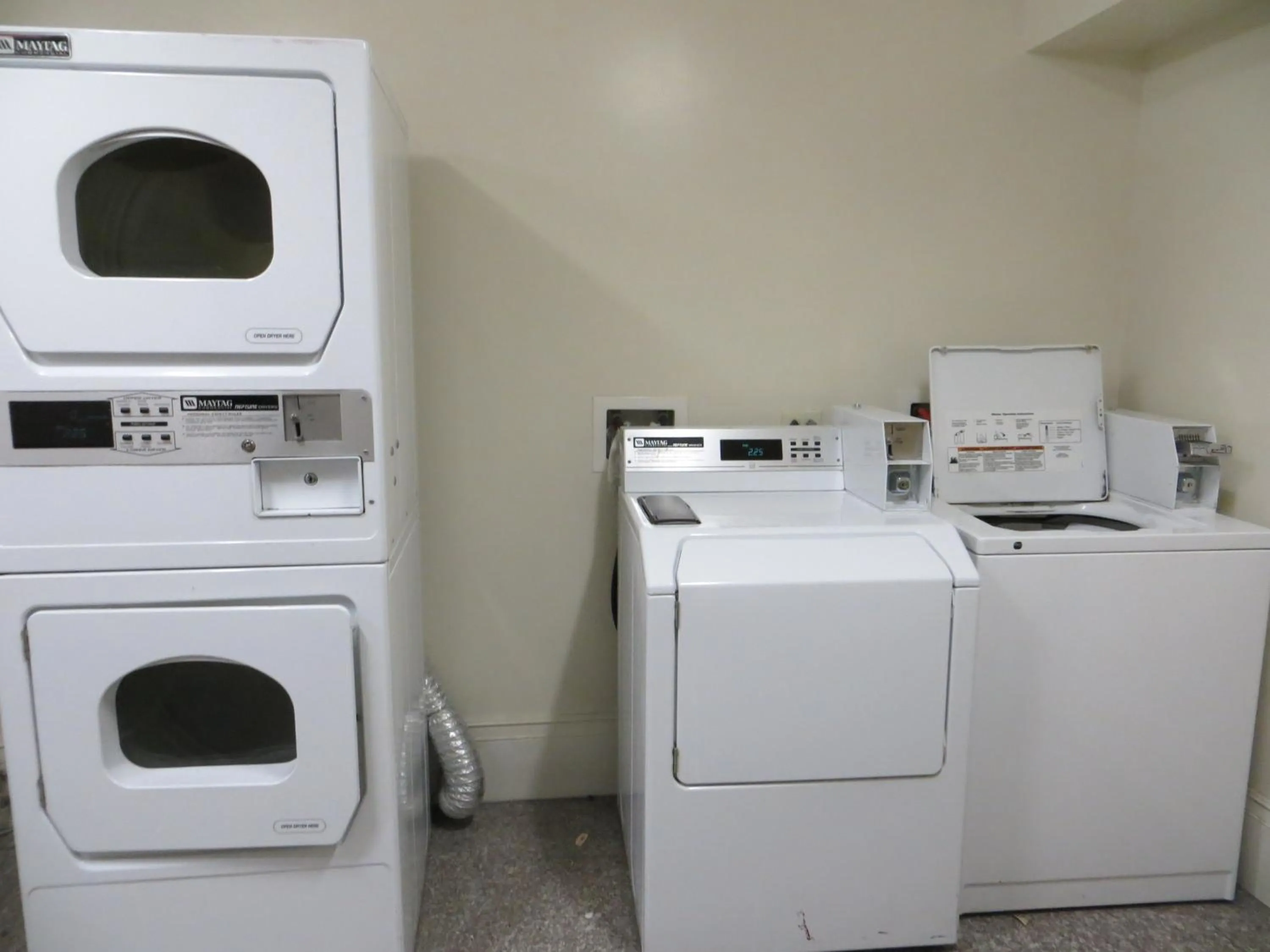 Activities in Hotel North Beach