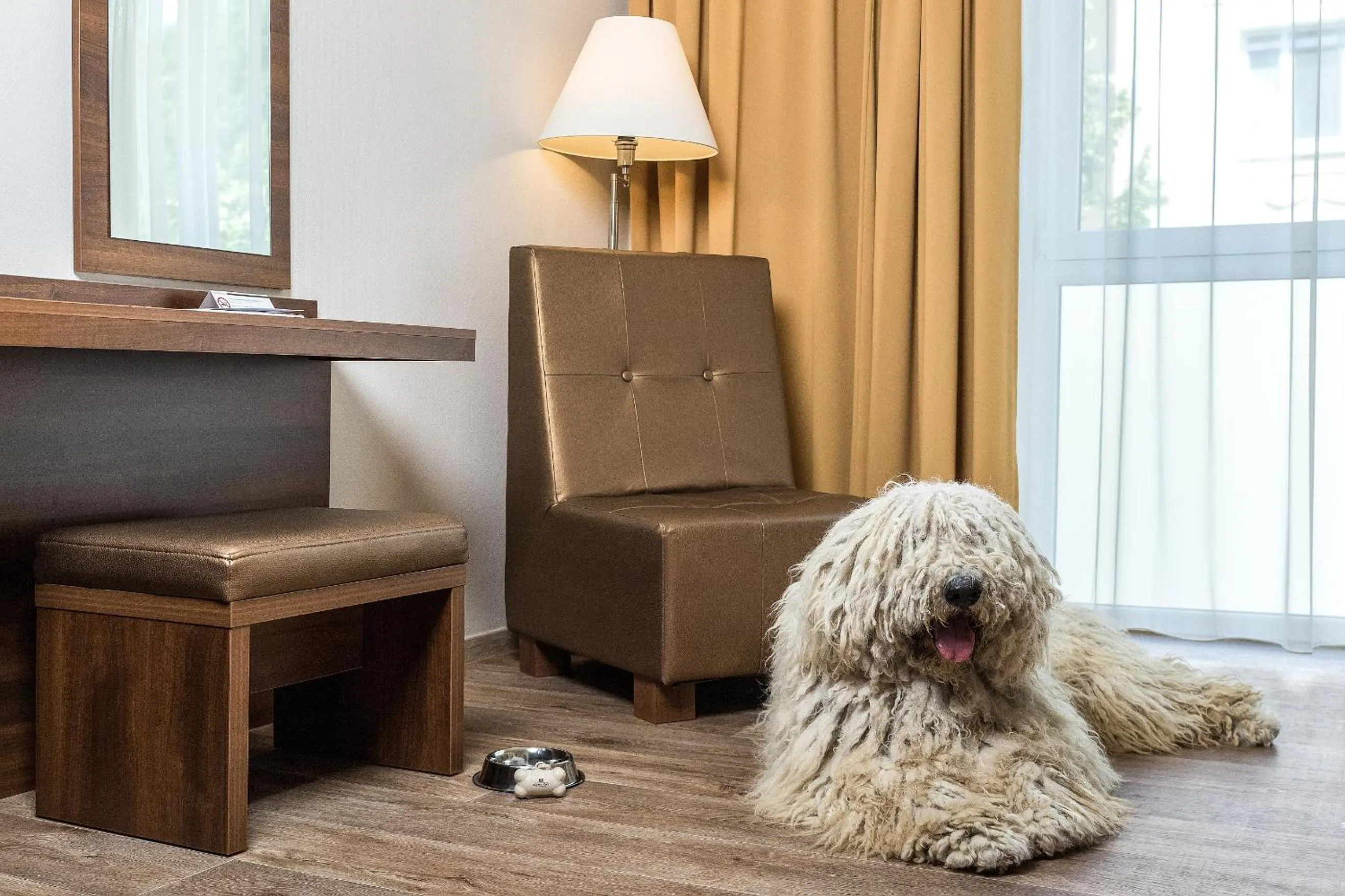 Pets in Bonvital Hotel Hévíz Superior Adults Only