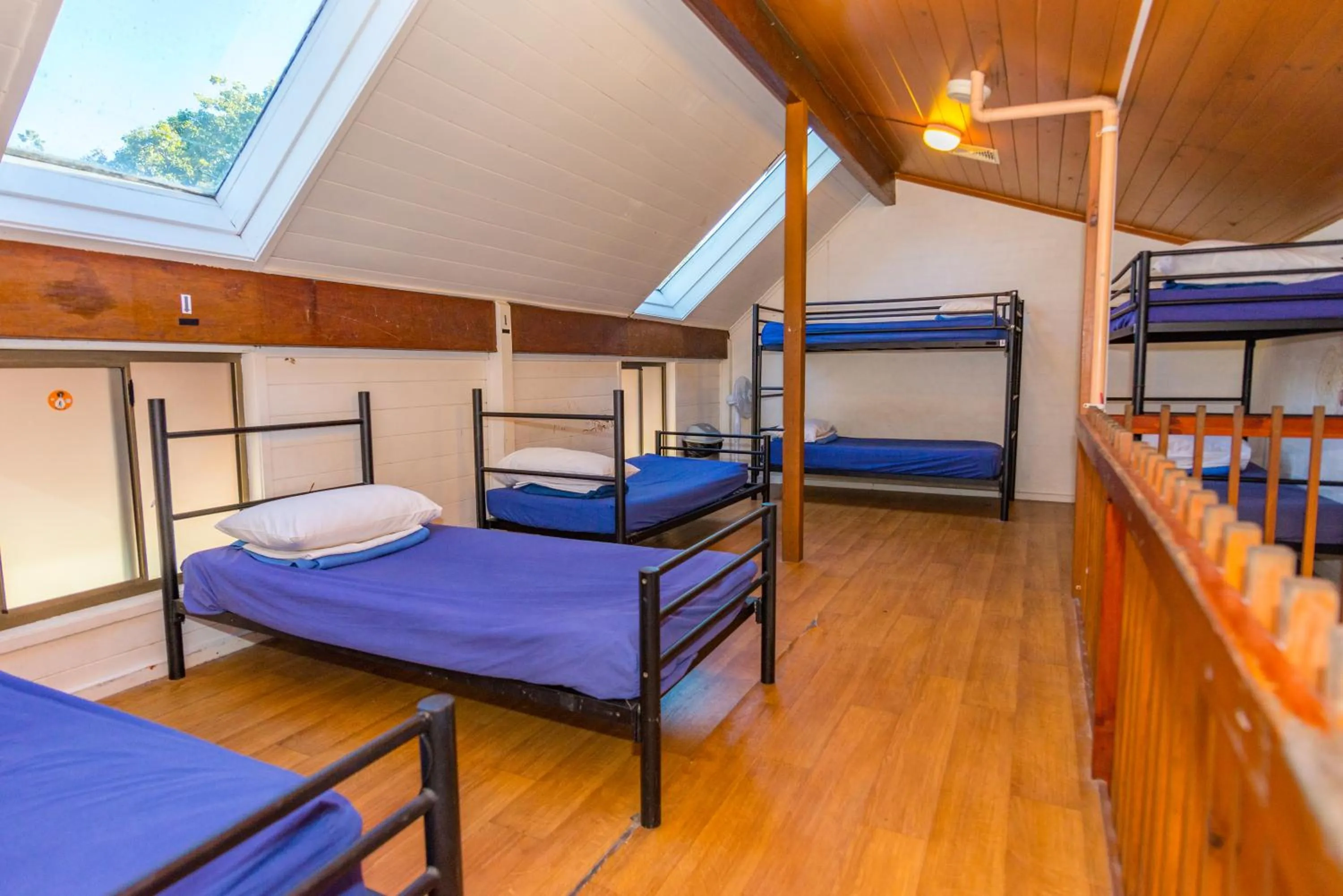 bunk bed, Bed in Aquarius Backpackers Resort