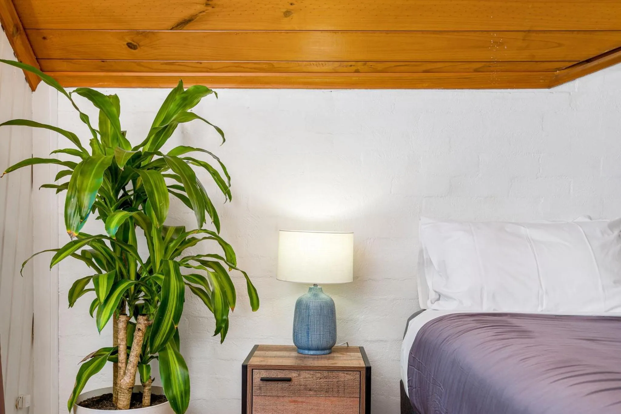 Bed in Aquarius Backpackers Resort