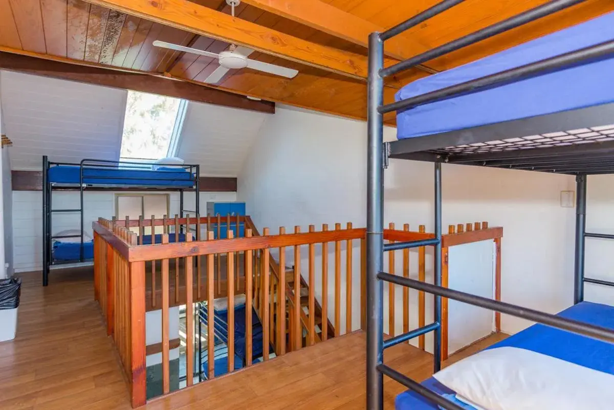 Bed in 8-Bed Female Dormitory Room (age 18 - 35 years only) in Aquarius Backpackers Resort Bed in 8-Bed Female Dormitory Room (age 18 - 35 years only) in Aquarius Backpackers Resort