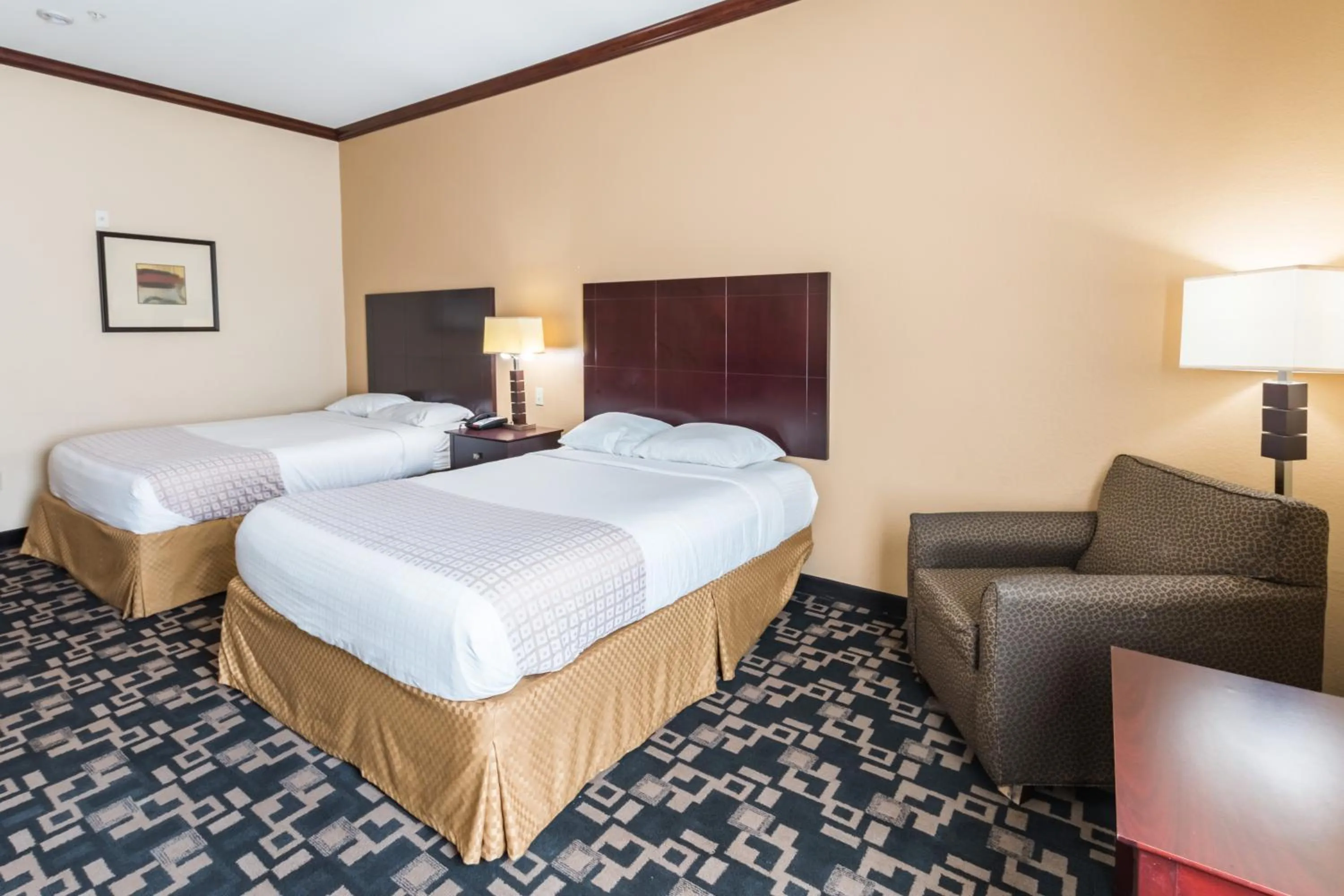 Bedroom, Bed in Motel 6-Joshua, TX