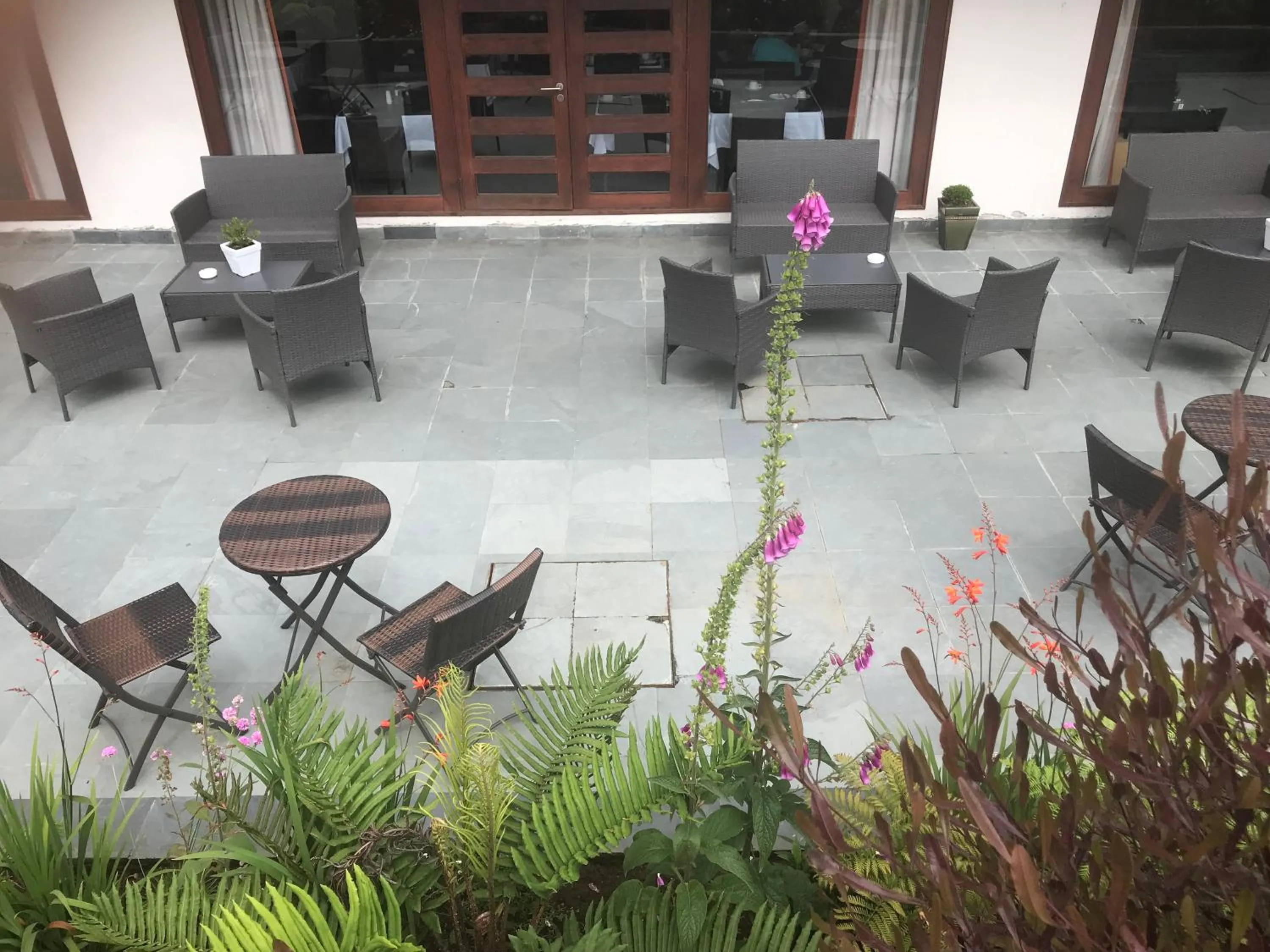 Garden in Hotel Germania