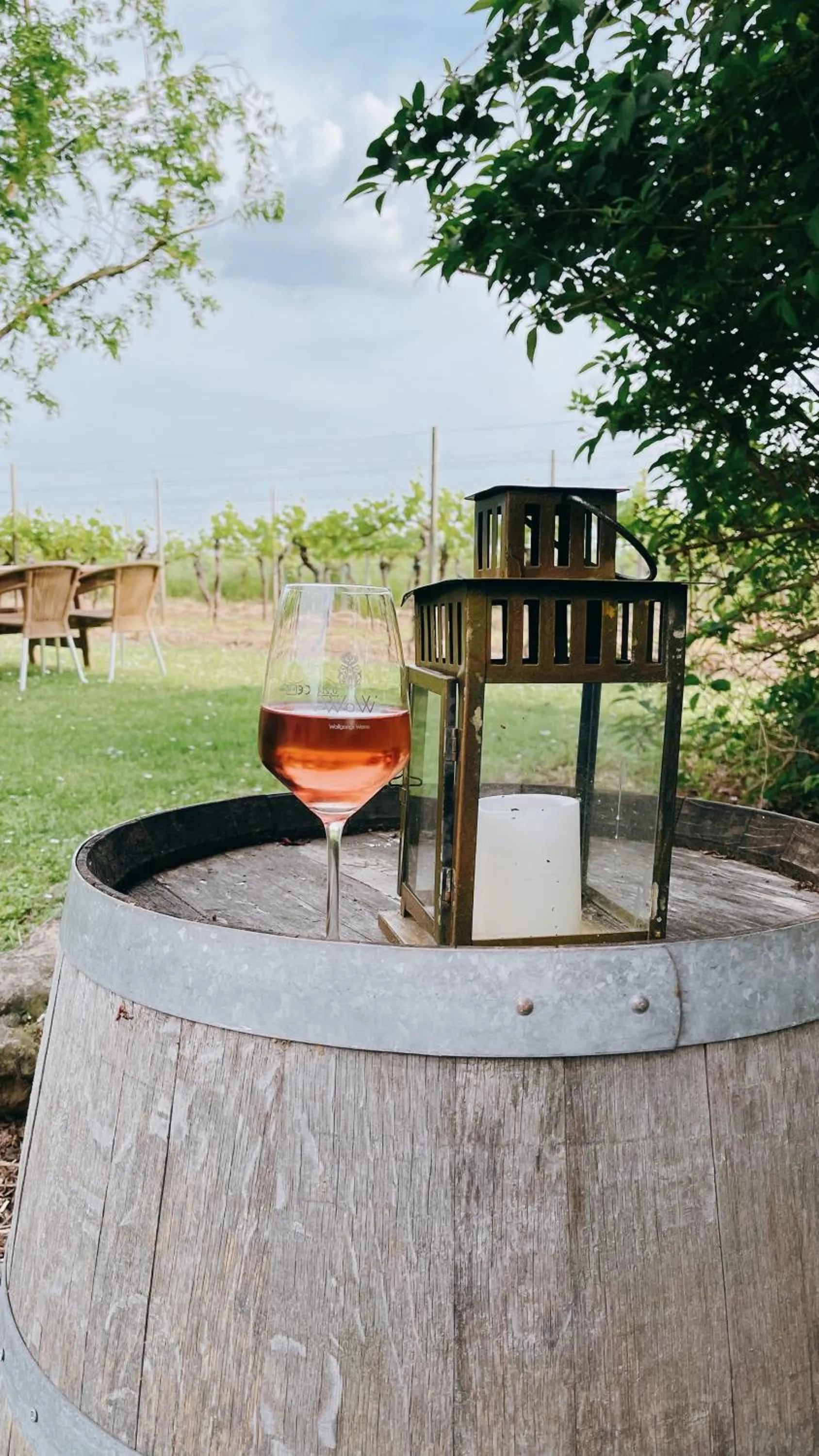 Garden view in Gästehaus Eschment