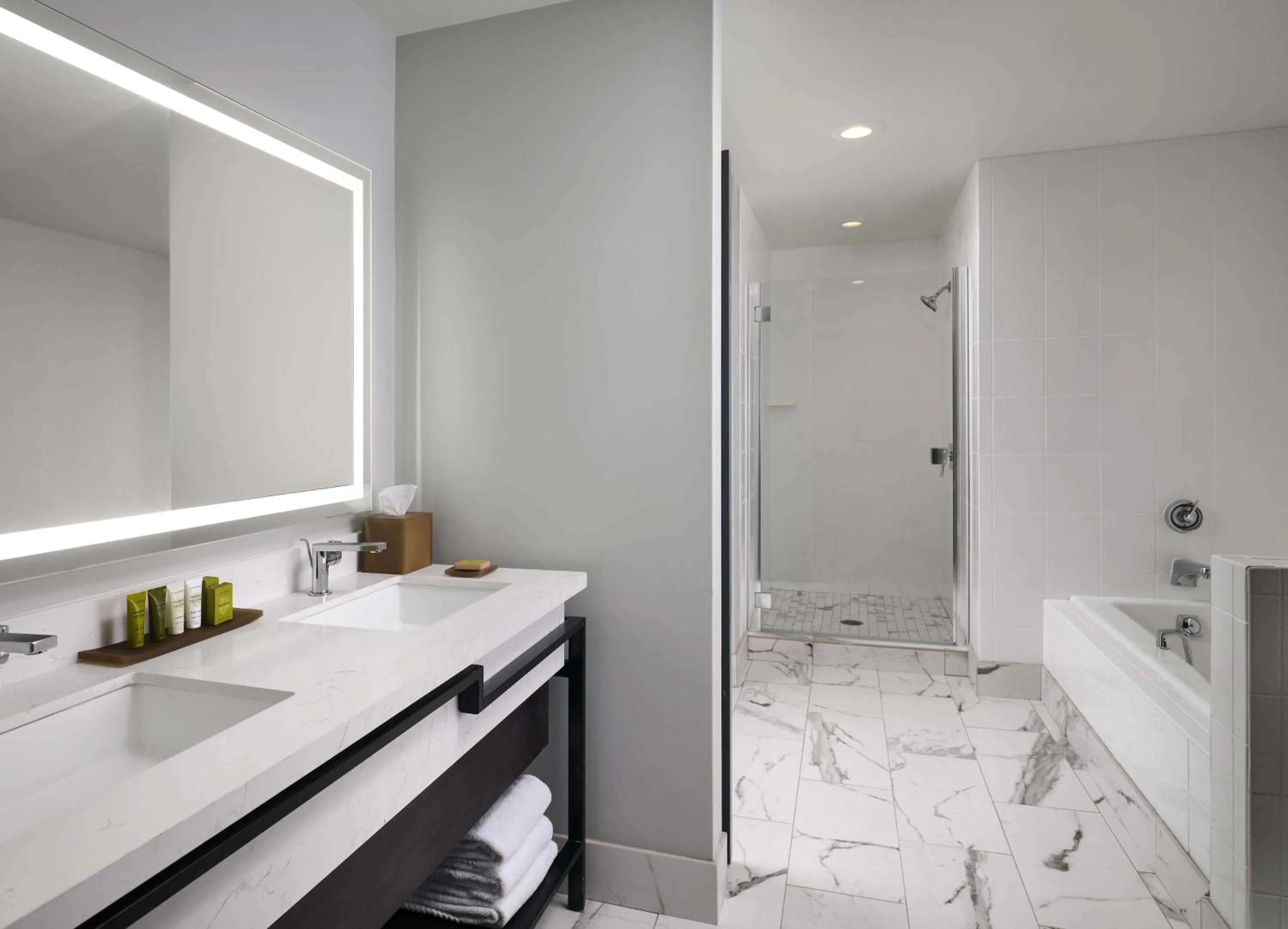 Bathroom in Hilton San Jose