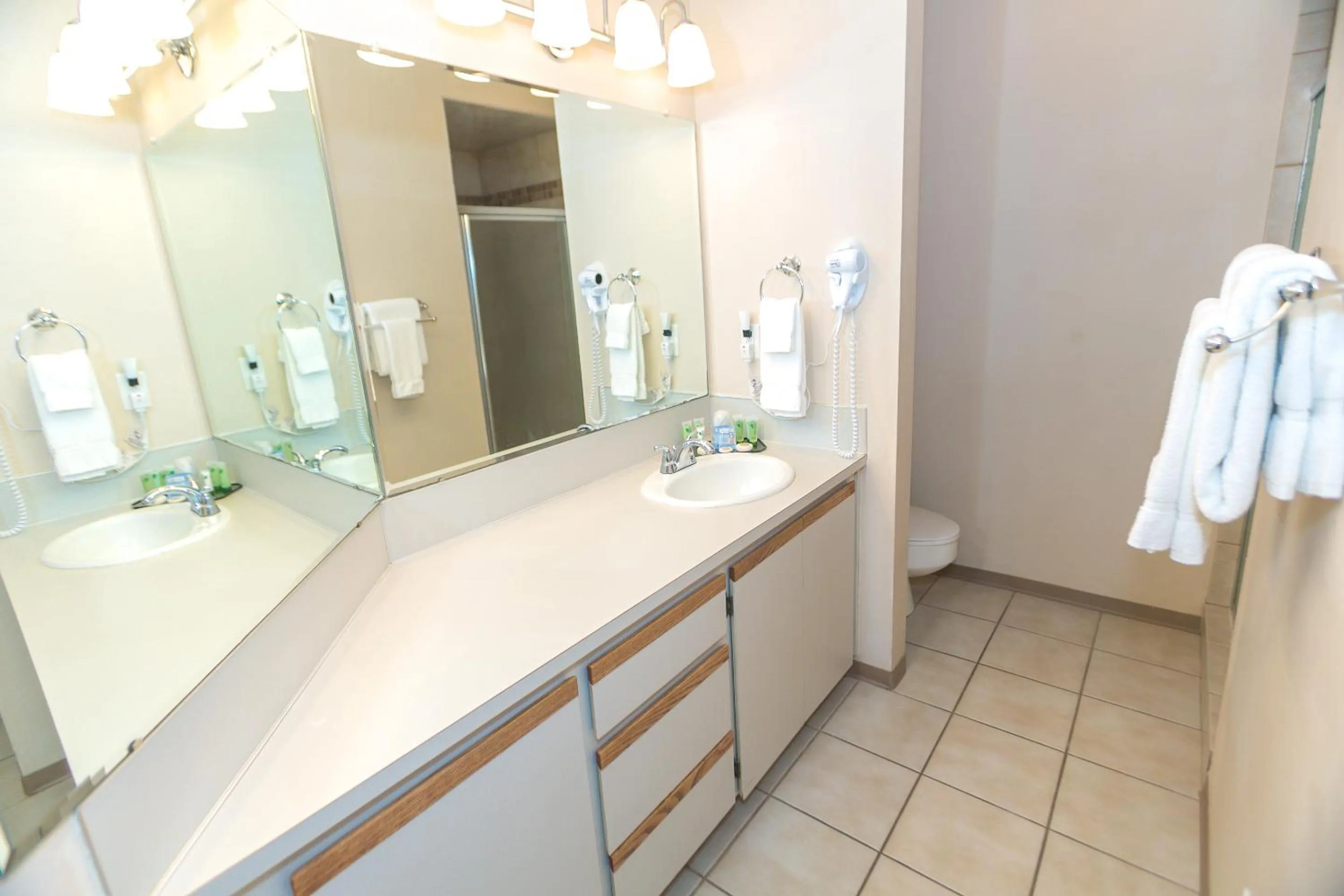 Bathroom in Grey Gull