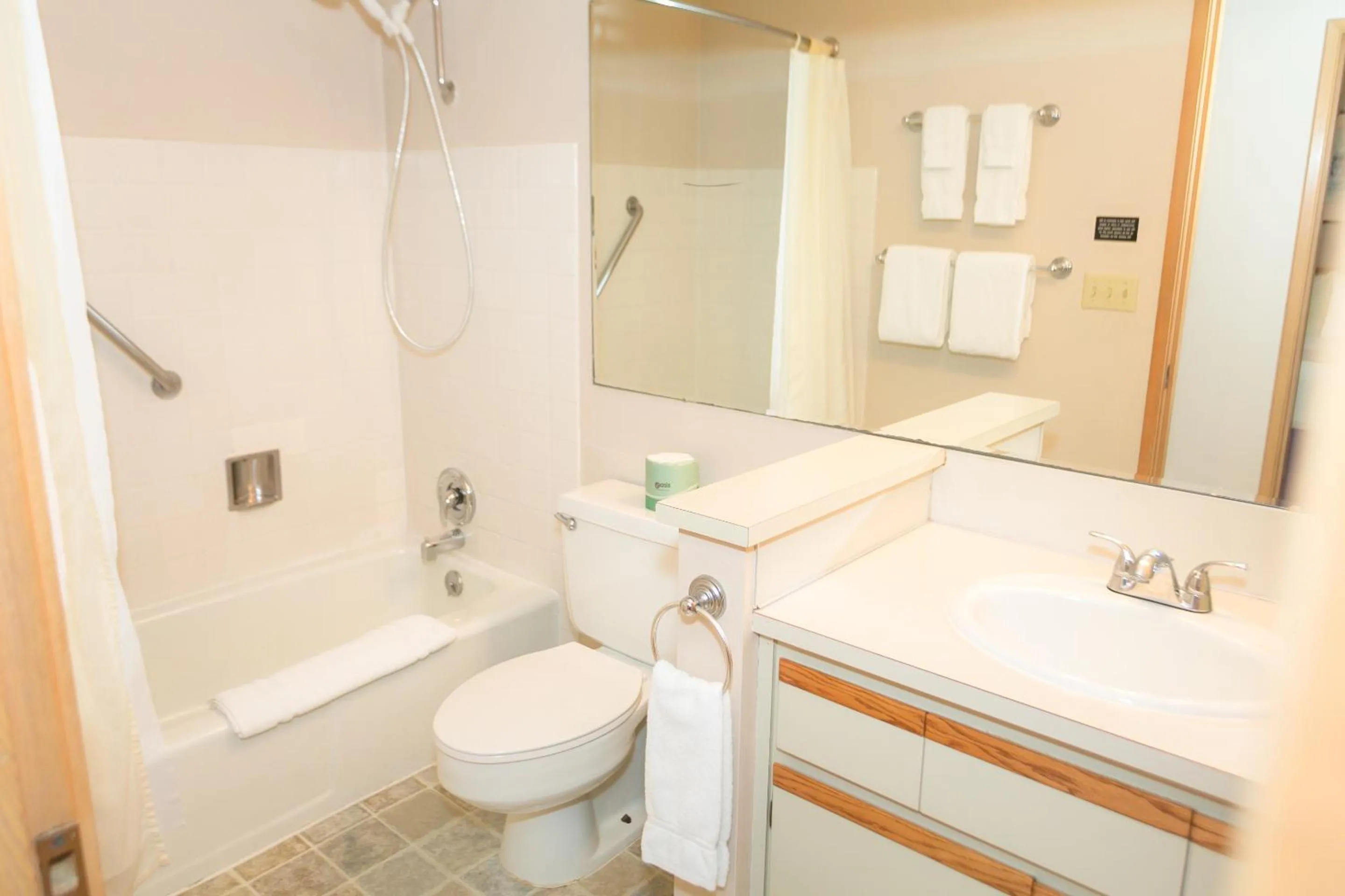 Bathroom in Grey Gull