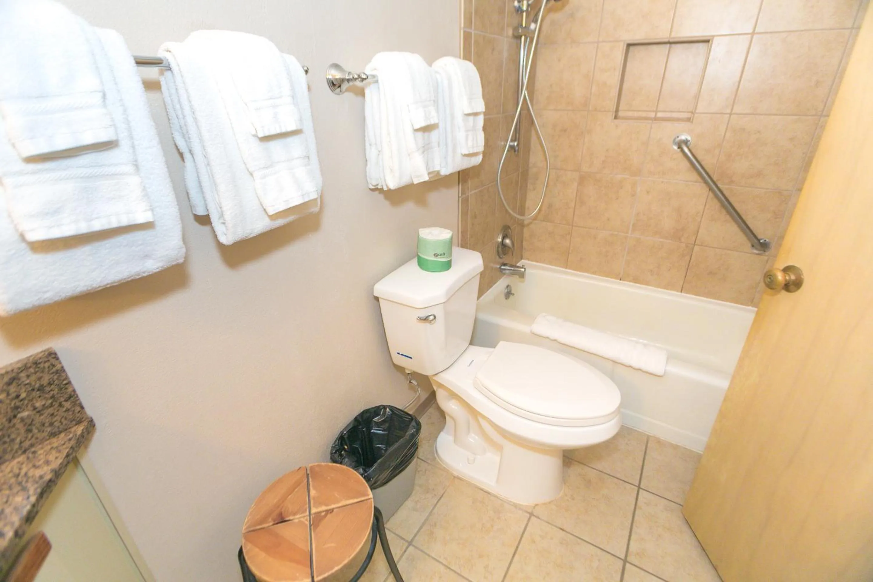 Bathroom in Grey Gull