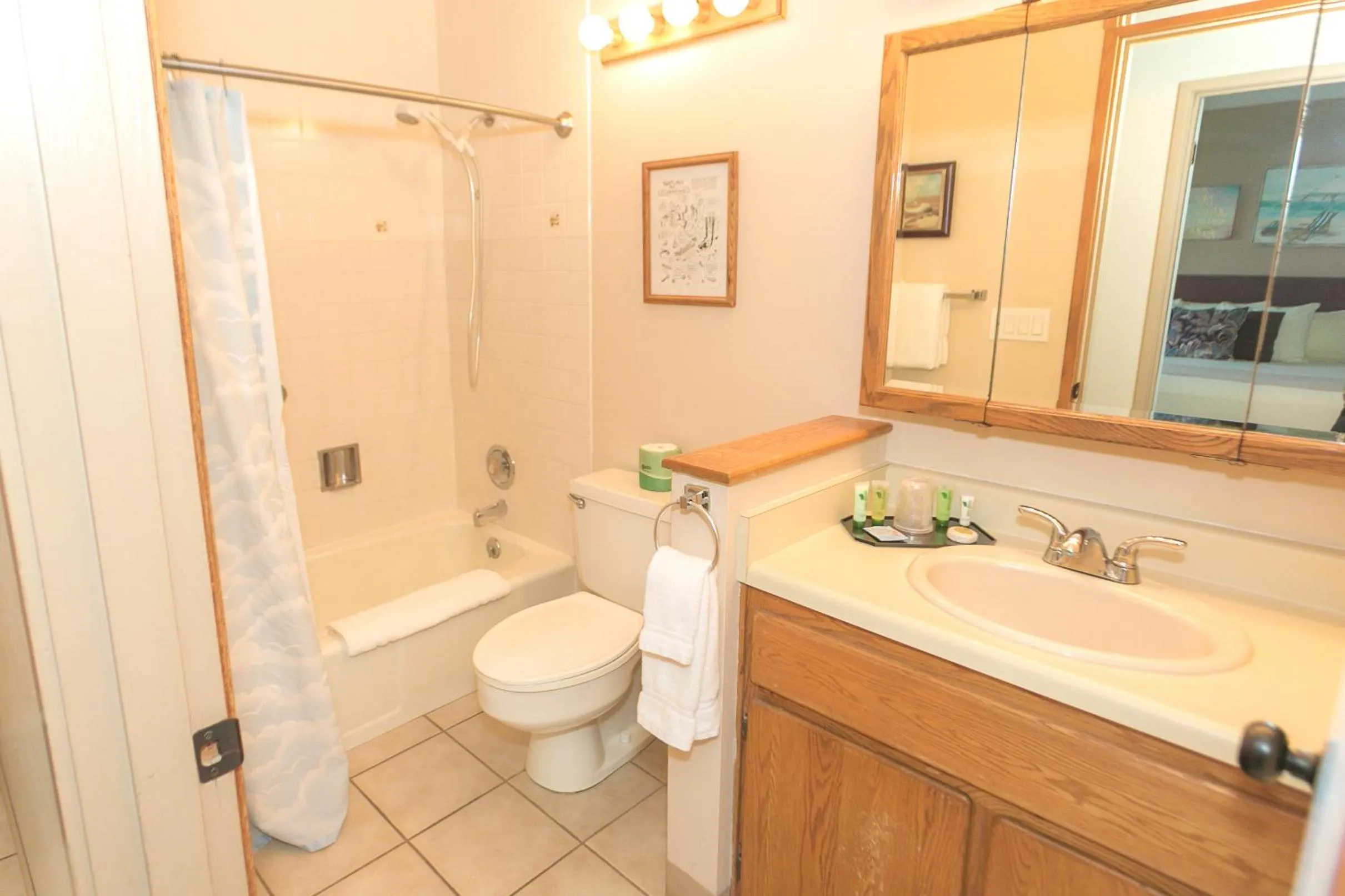 Bathroom in Grey Gull