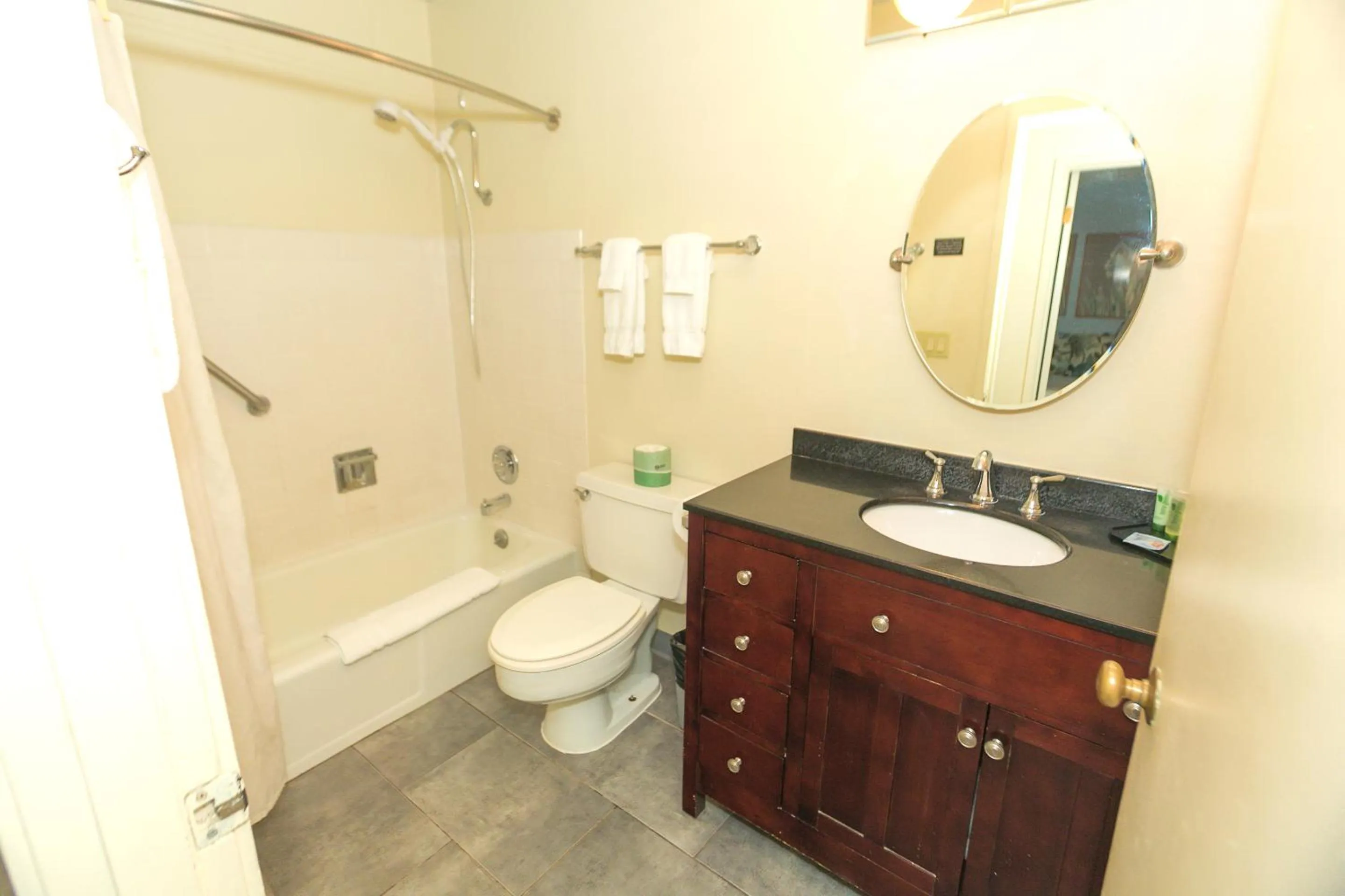 Bathroom in Grey Gull