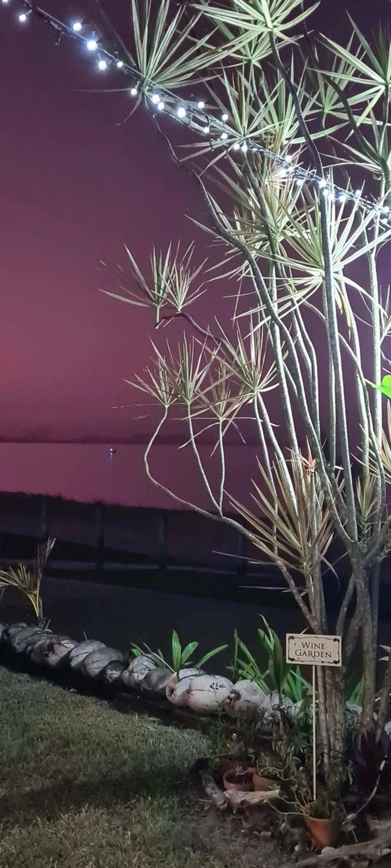 Garden in Cardwell Beachfront Motel