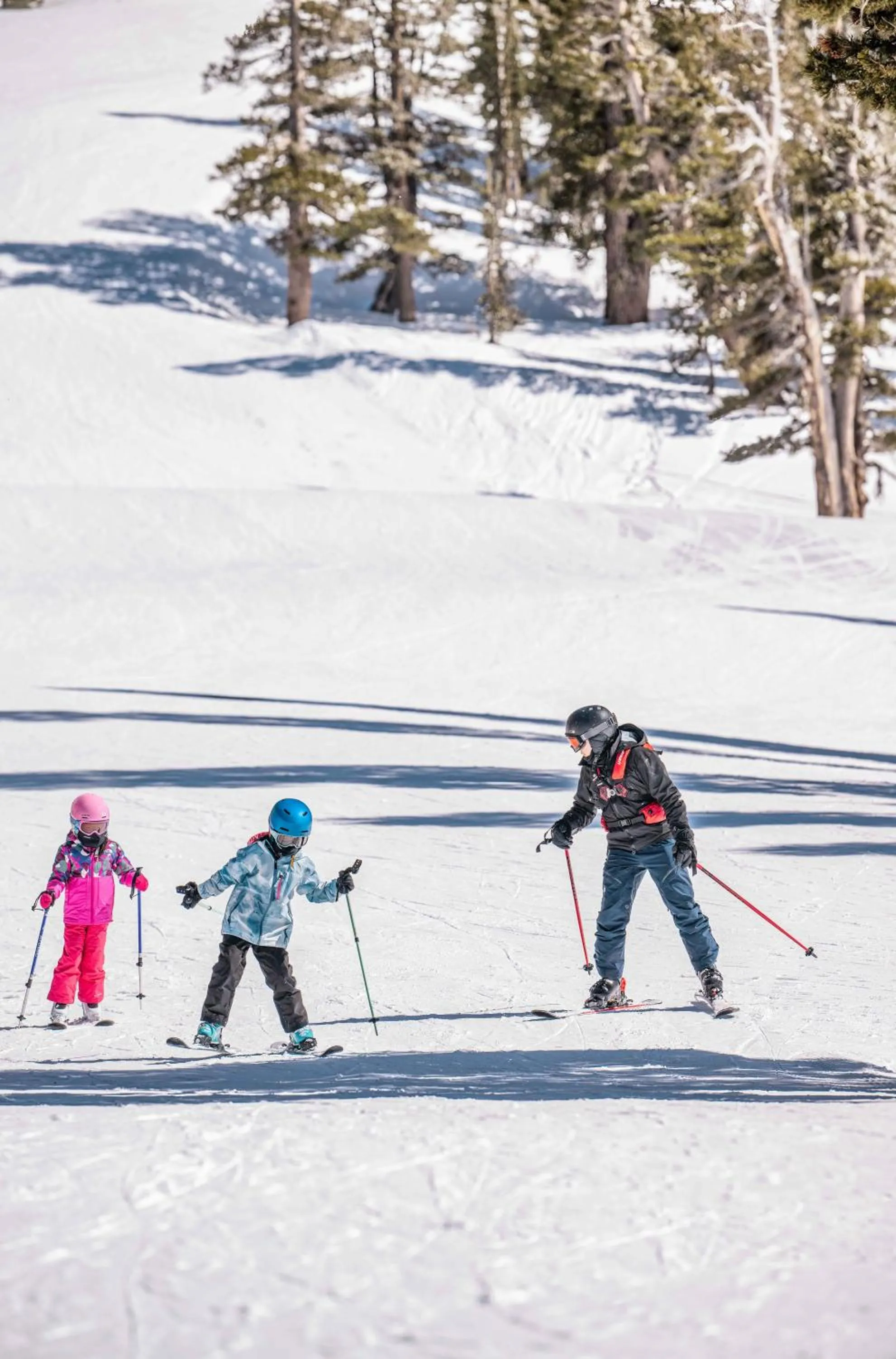 Day in Margaritaville Resort Lake Tahoe
