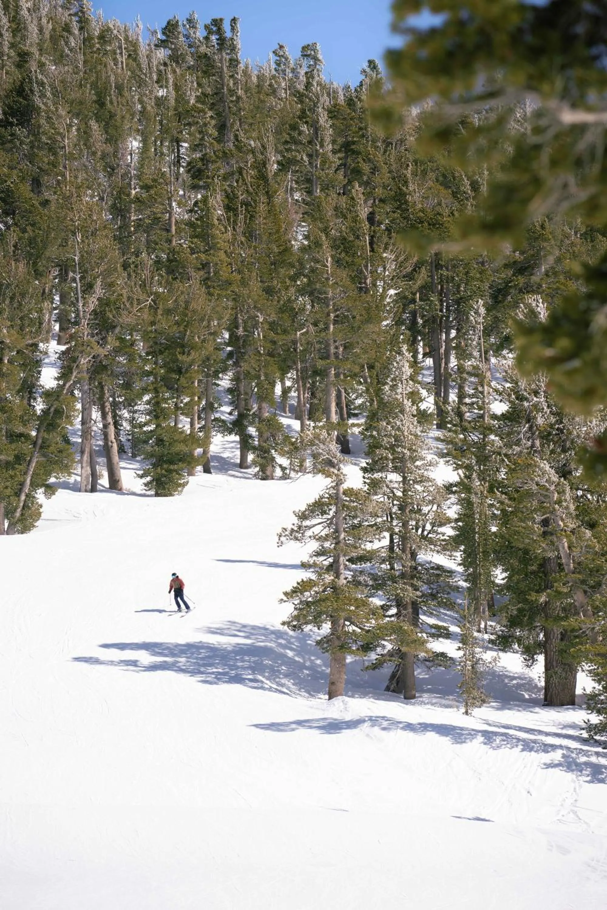 Day in Margaritaville Resort Lake Tahoe