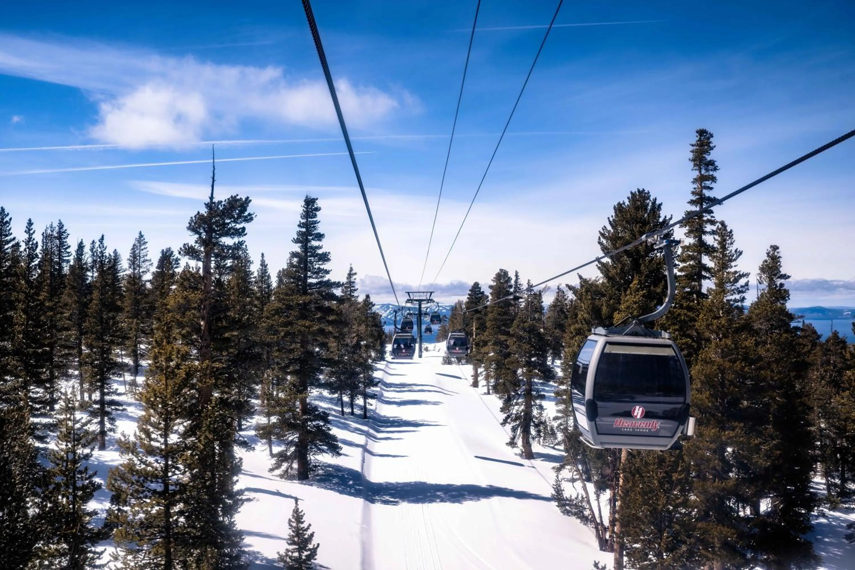 Day in Margaritaville Resort Lake Tahoe