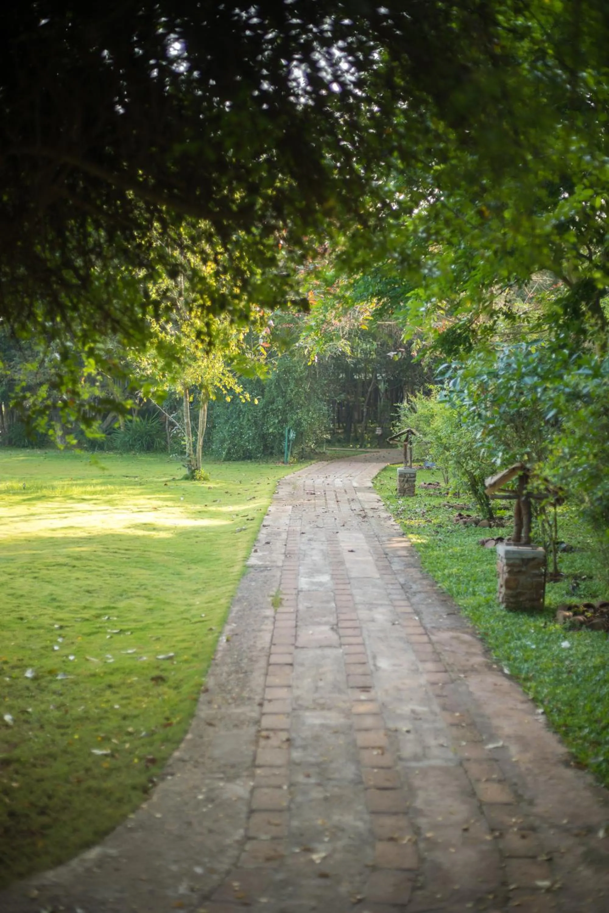 Garden in Camellia Resort And Spa