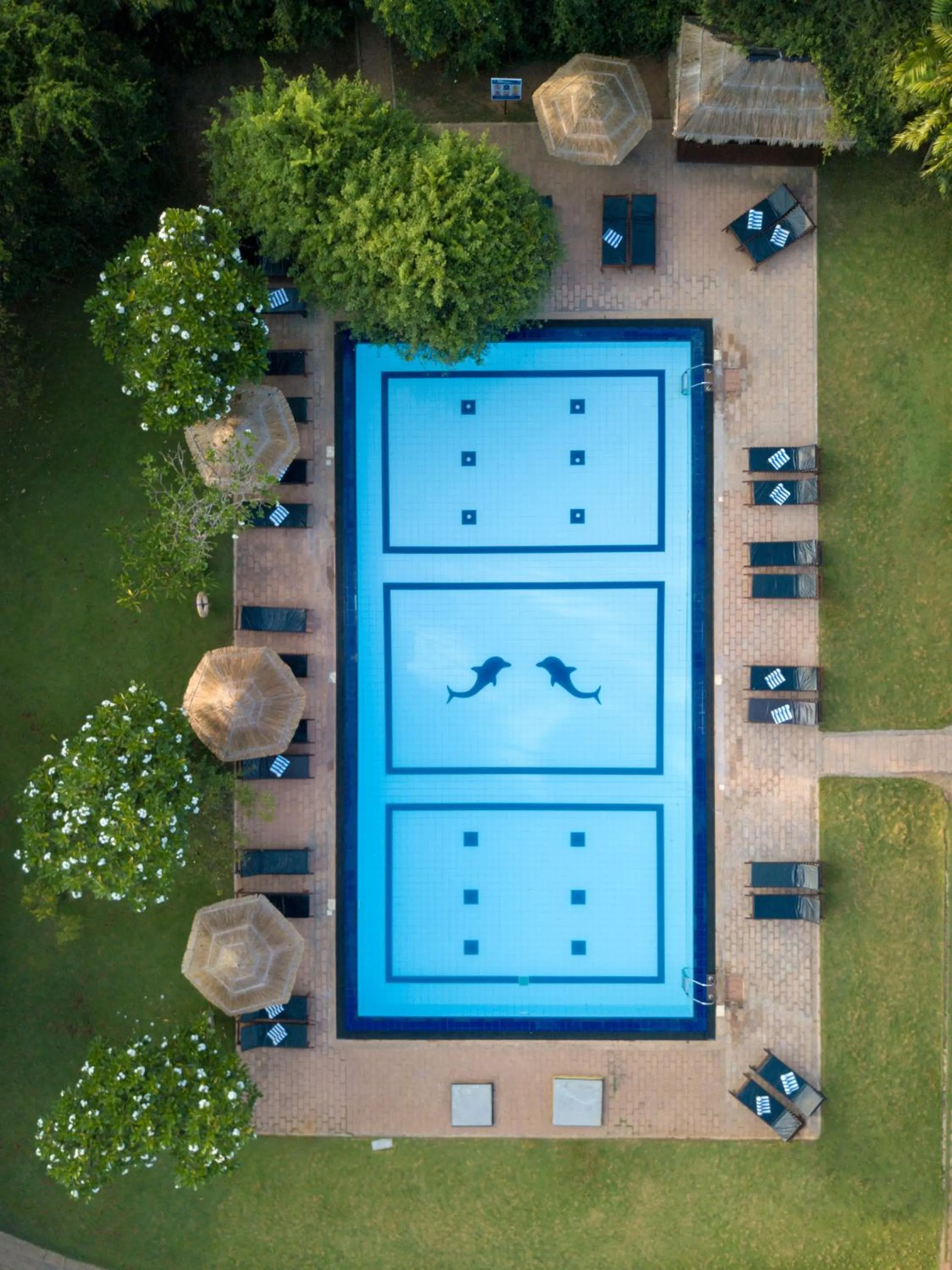 Swimming pool in Camellia Resort And Spa