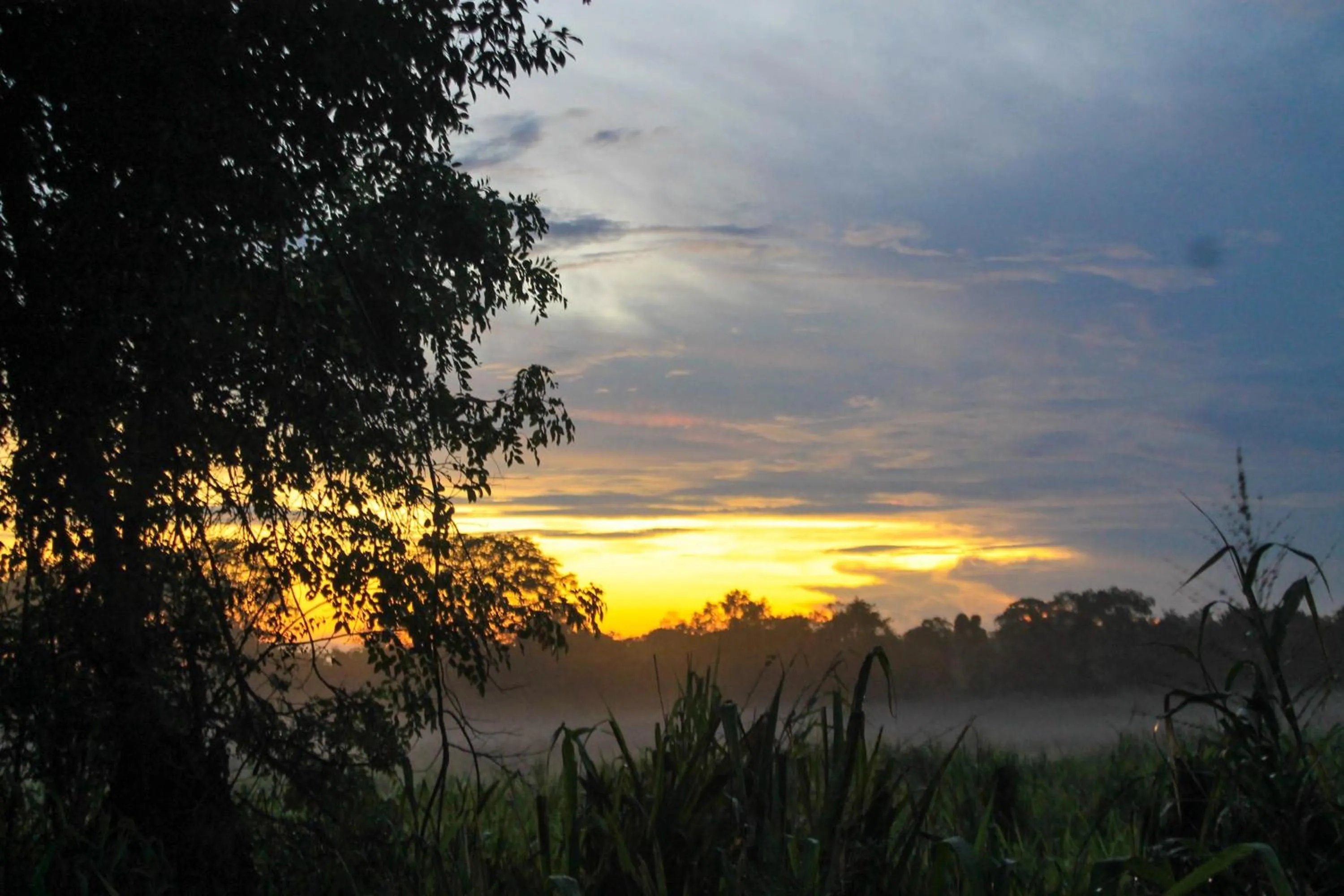 Natural landscape in Camellia Resort And Spa