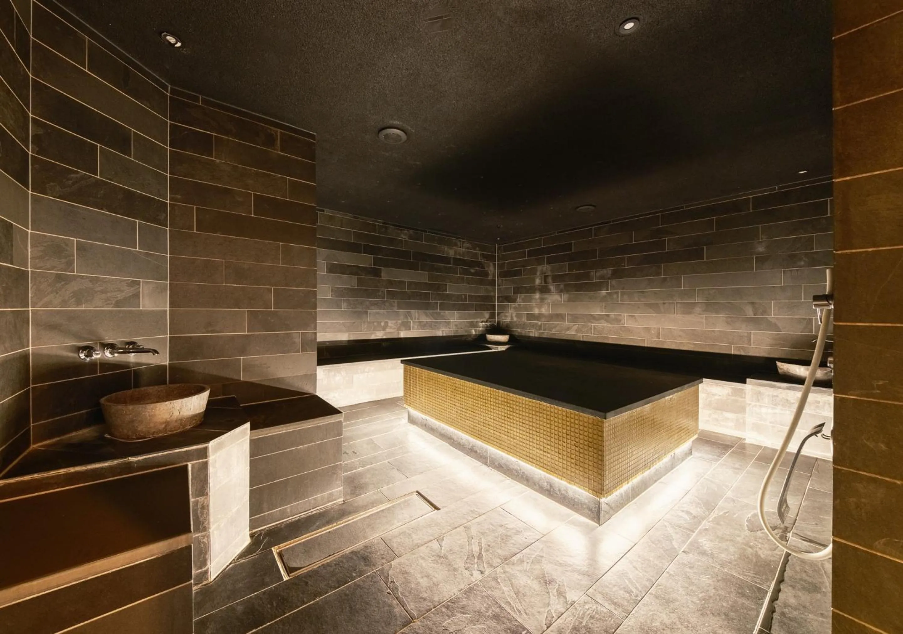 Spa and wellness centre/facilities in The Thief