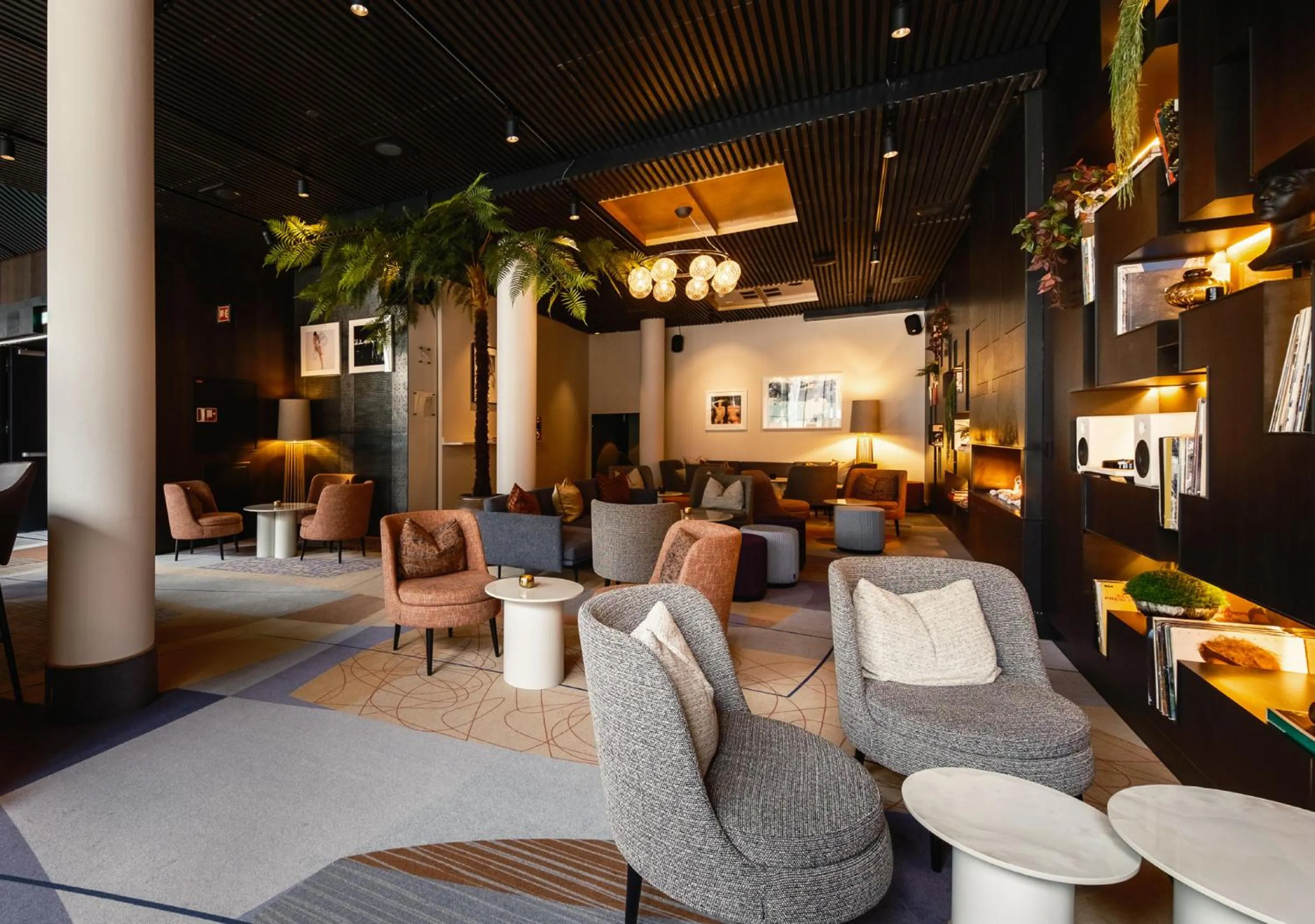 Lounge or bar in The Thief