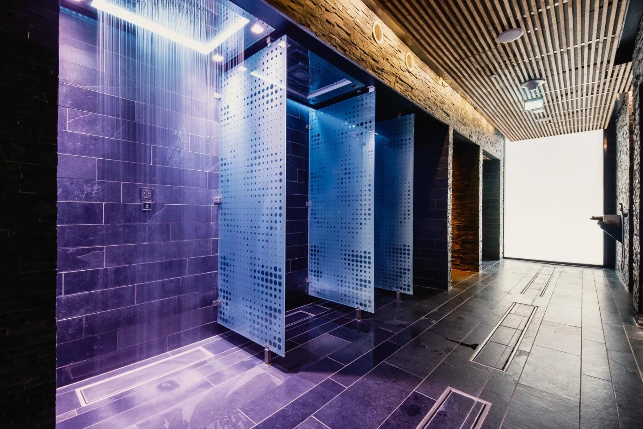 Spa and wellness centre/facilities in The Thief