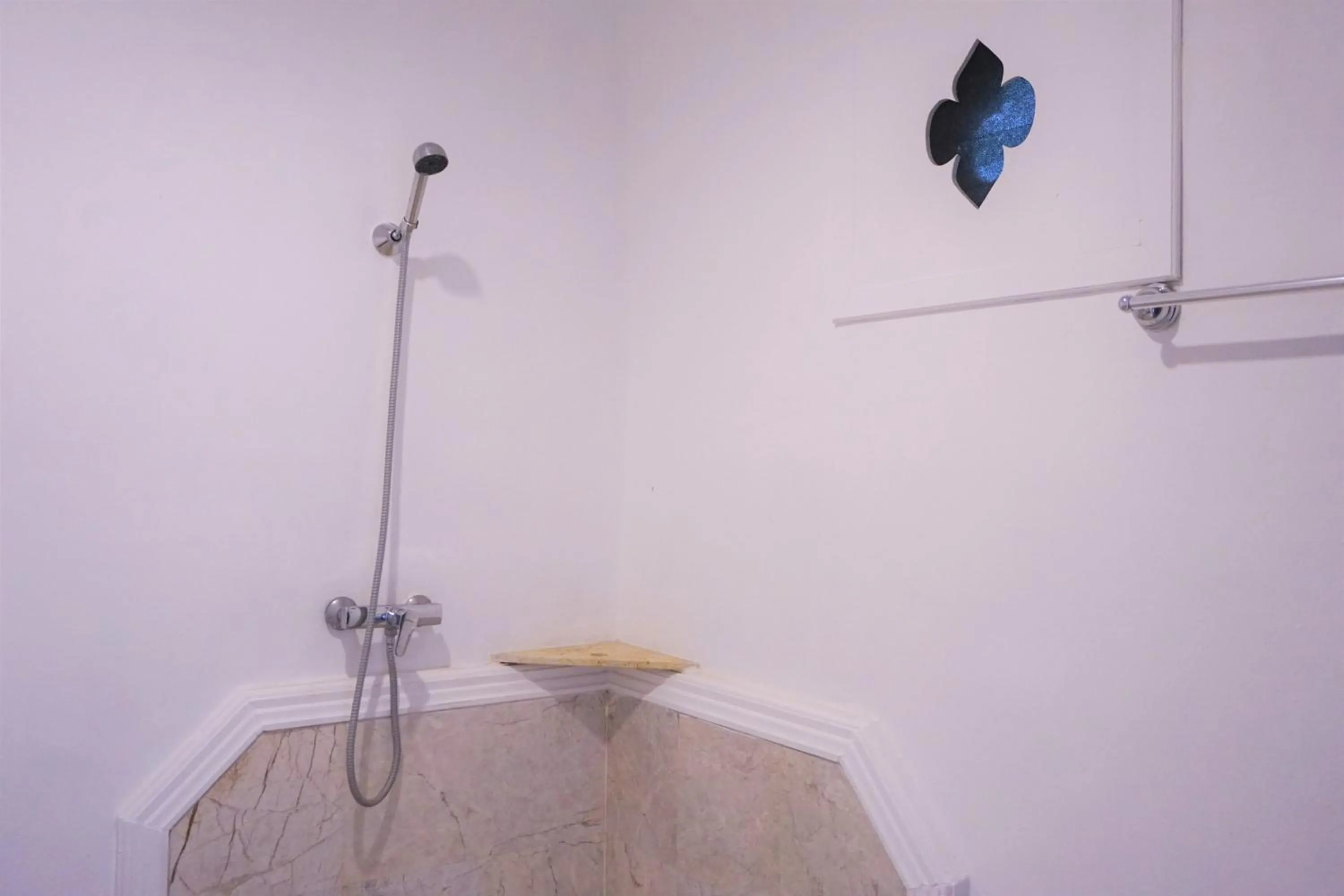 Shower in Amaravati Wellness Center SHA Plus