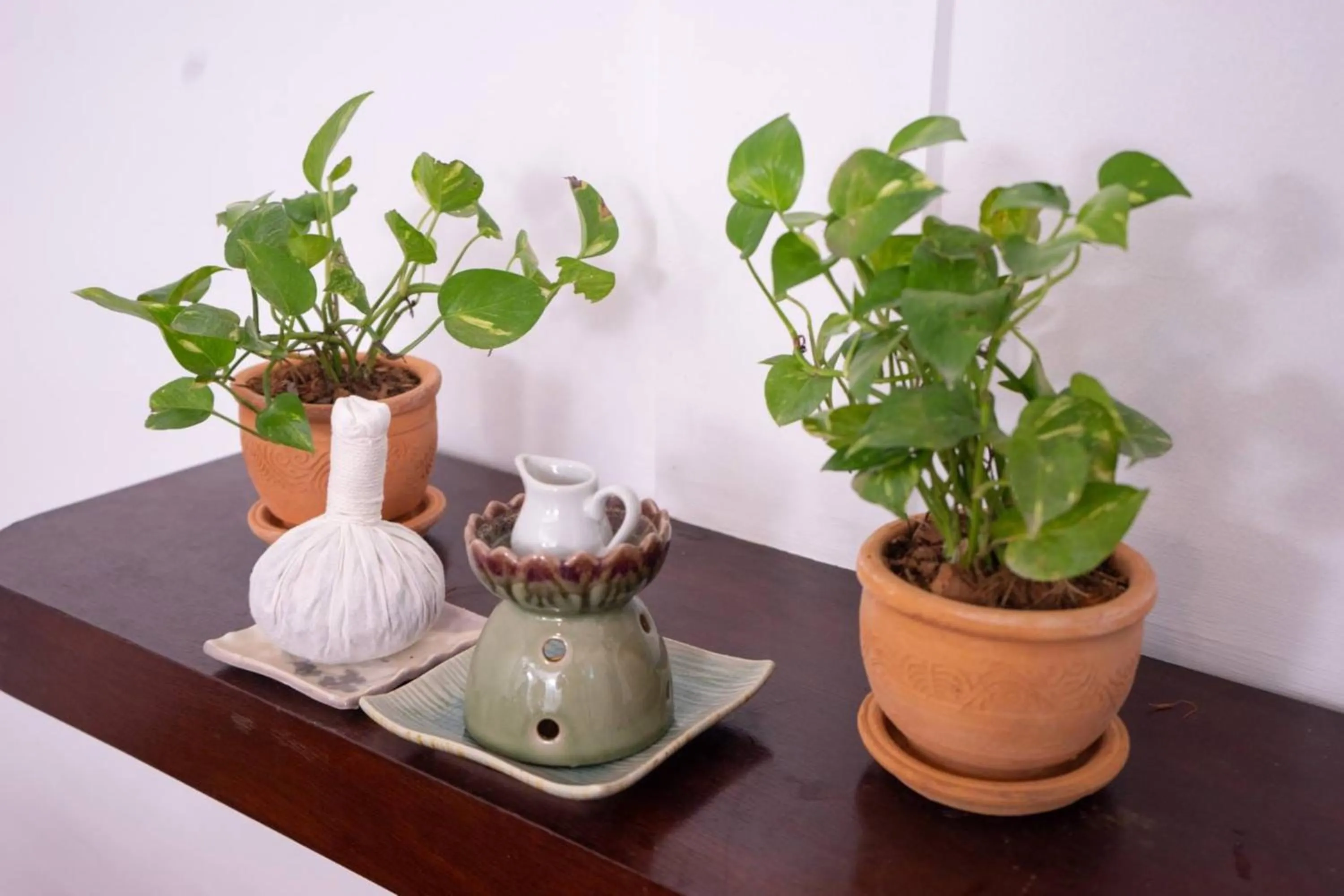 Spa and wellness centre/facilities in Amaravati Wellness Center SHA Plus