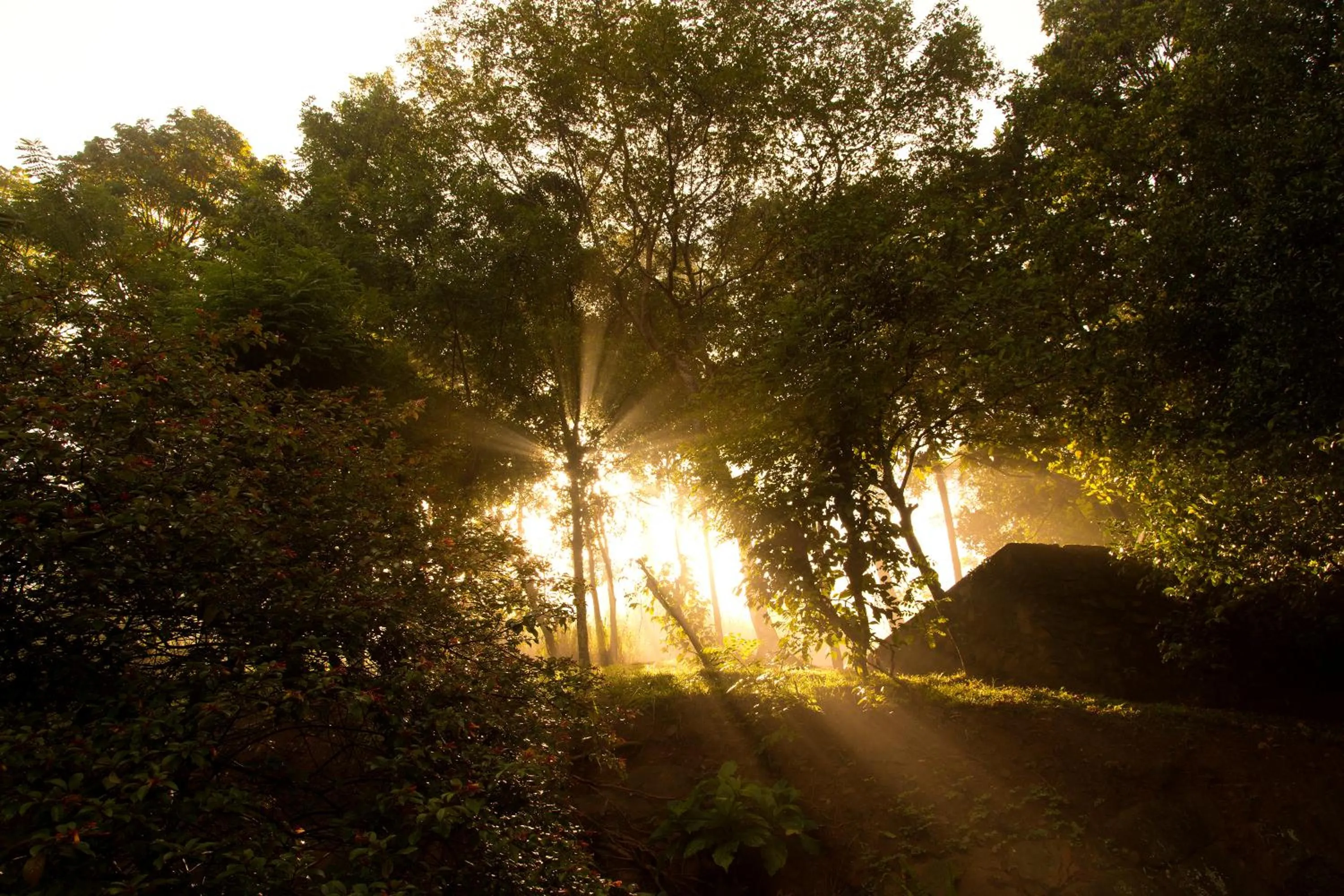 Facade/entrance in Hanthana Boutique Villa by Amaya