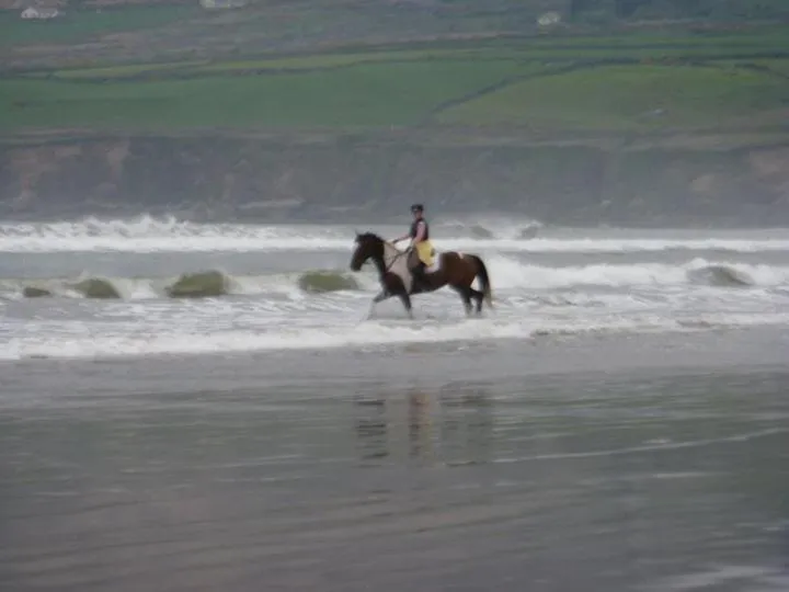 Horse-riding in Murray's Mountain View