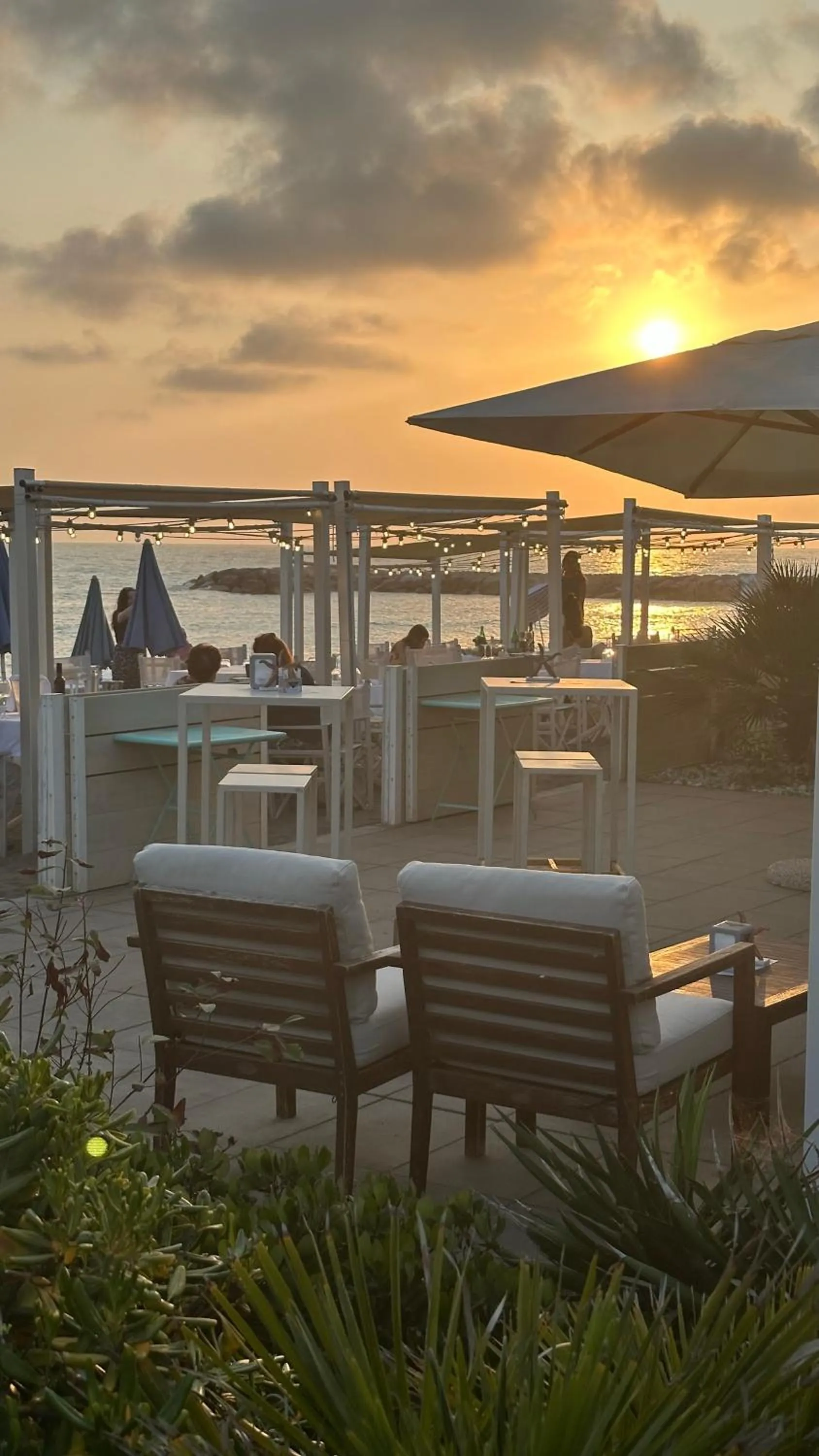 Restaurant/places to eat in Hotel Stella Marina